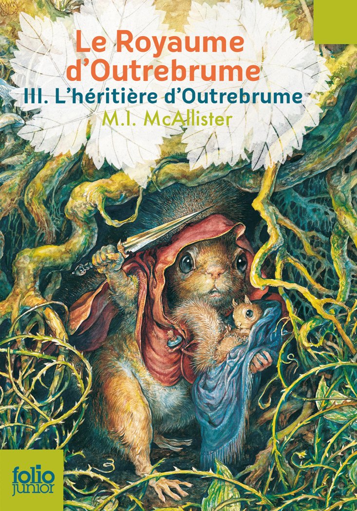 Le Royaume d'Outrebrume: L'héritière d'Outrebrume (3) book