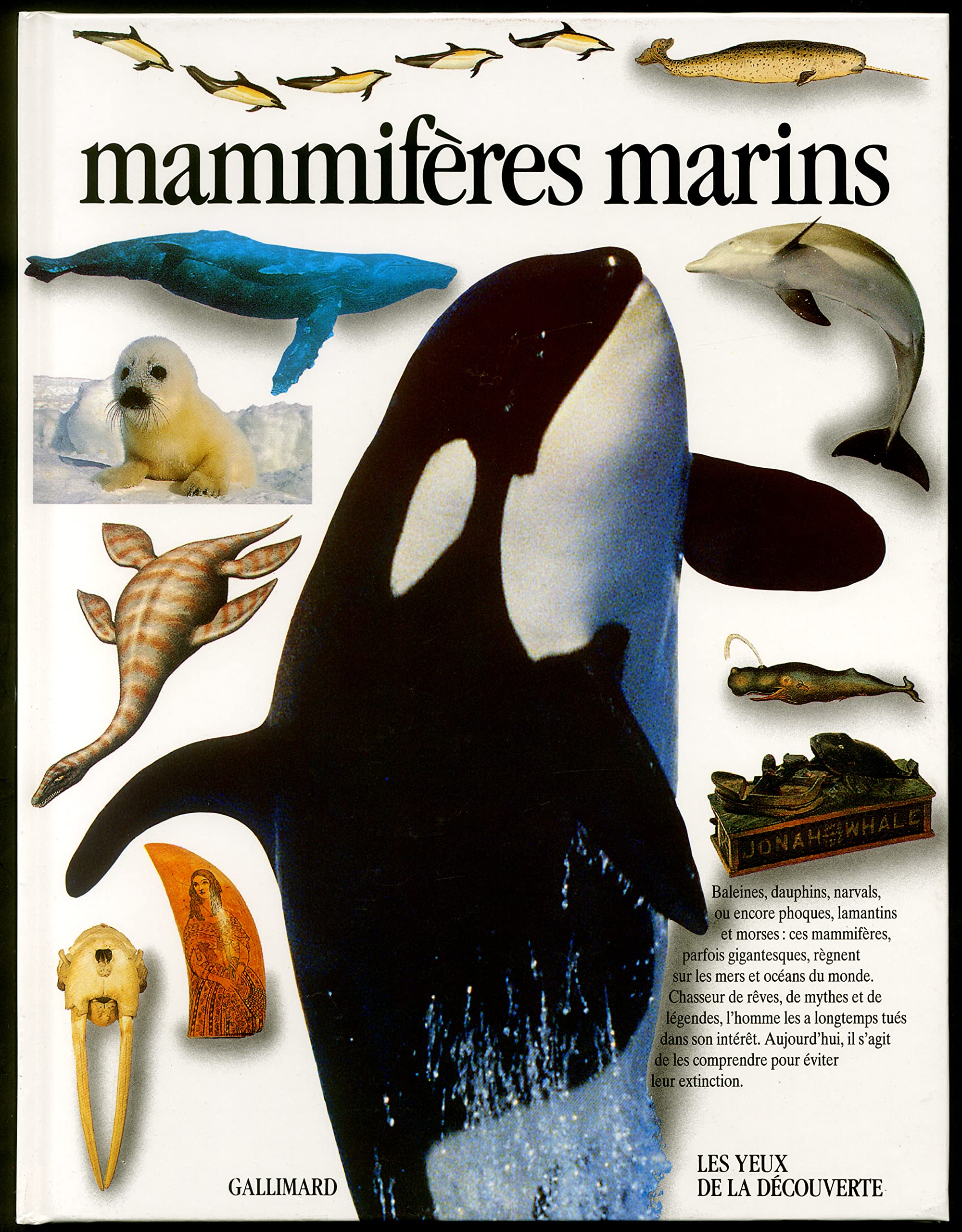 Mammifères marins Children's books