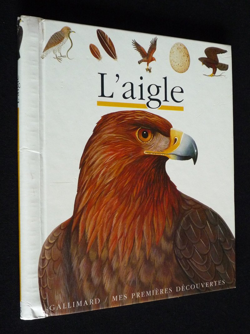Product Image: L'aigle