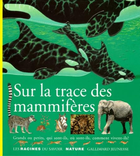 Sur la trace des mammifères: Grands ou petits, qui sont-ils, où sont-ils, comment vivent-ils ? book