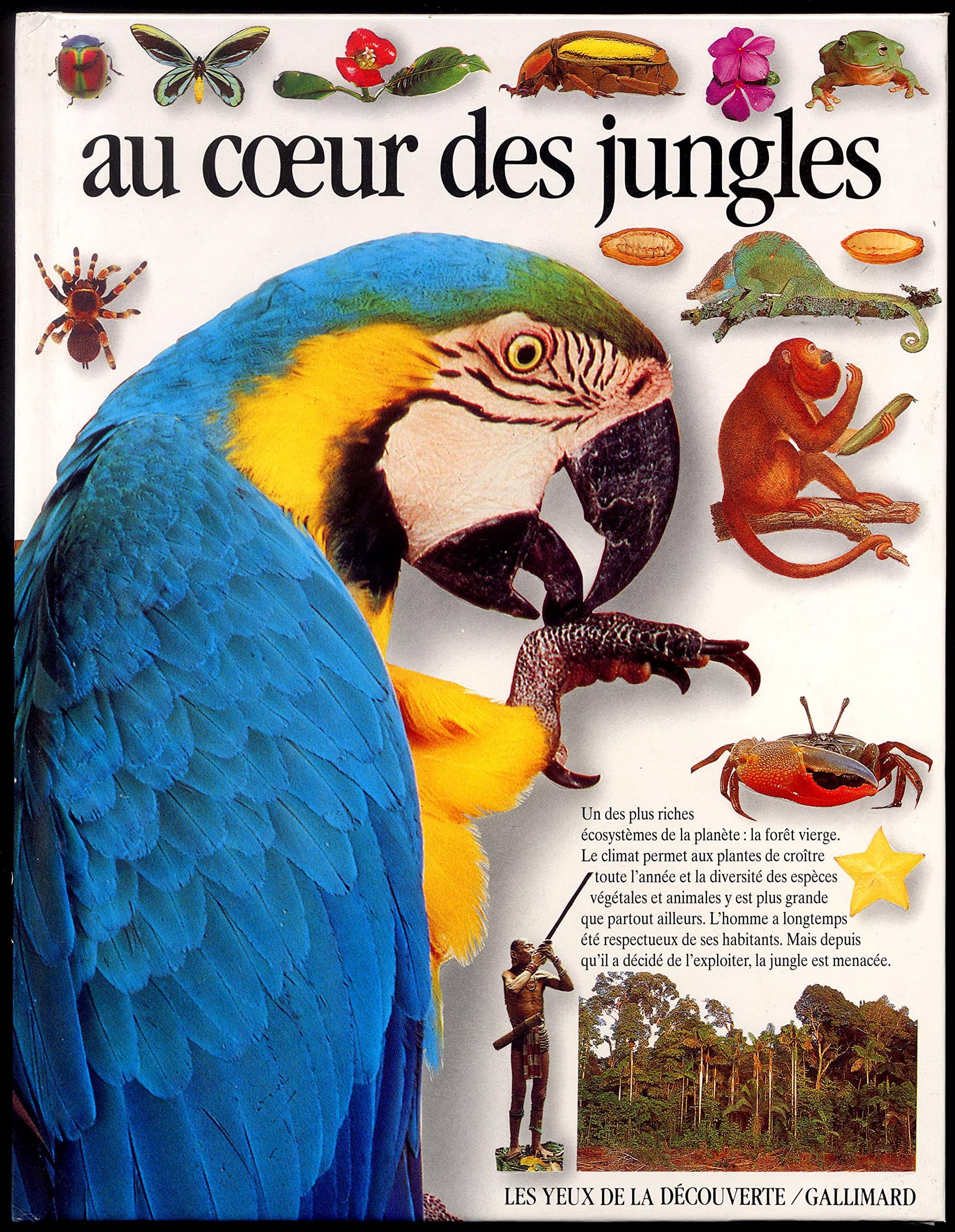 Au coeur des jungles book