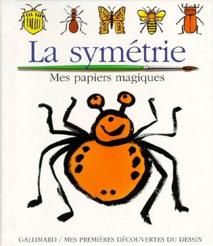La symétrie: Je dessine avec un pinceau et de l'eau... book