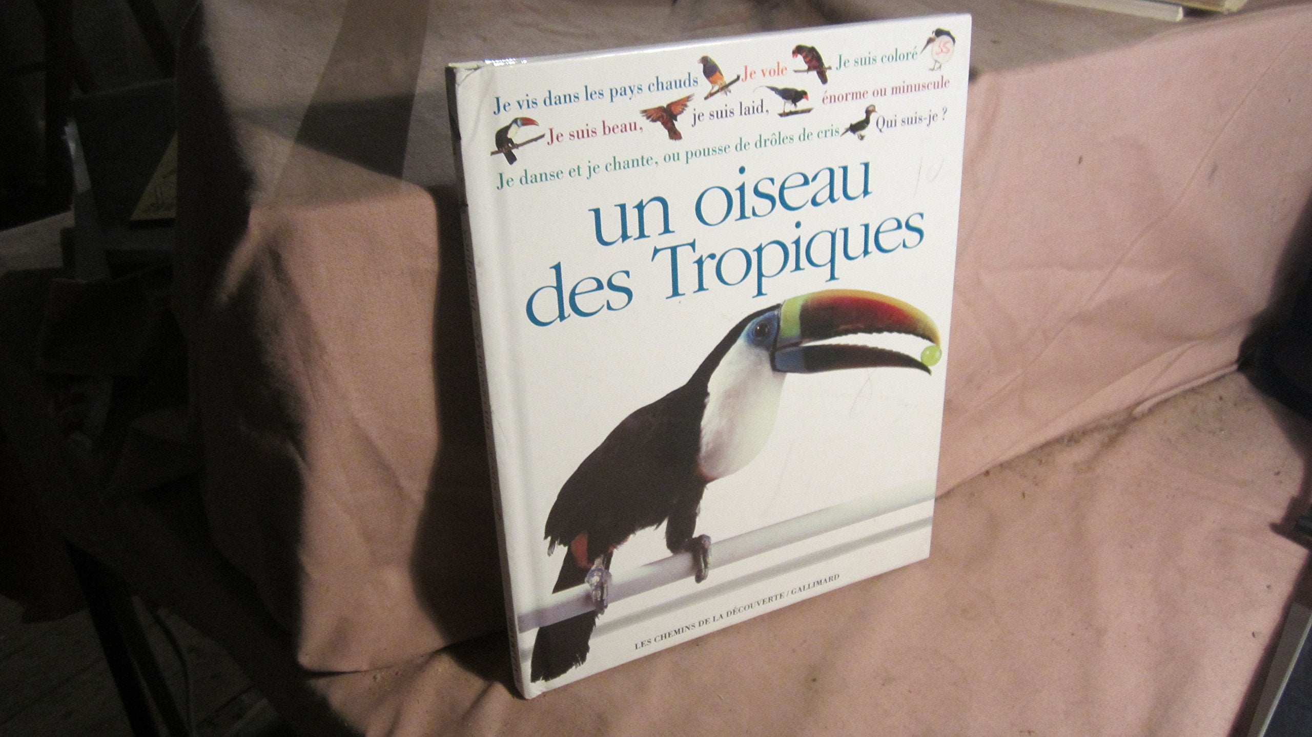 Qui suis je ? un oiseau des tropiques 102097 book