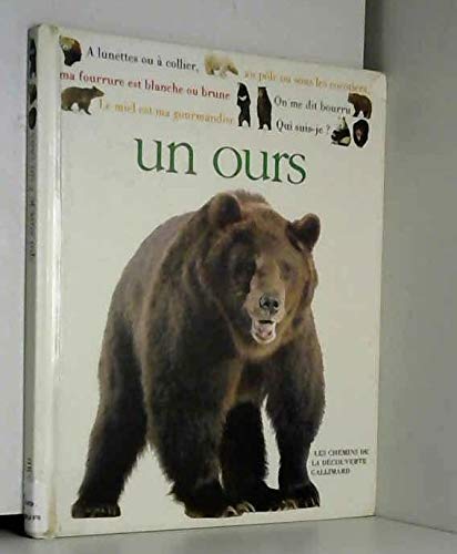 Qui suis-je ? un ours Books