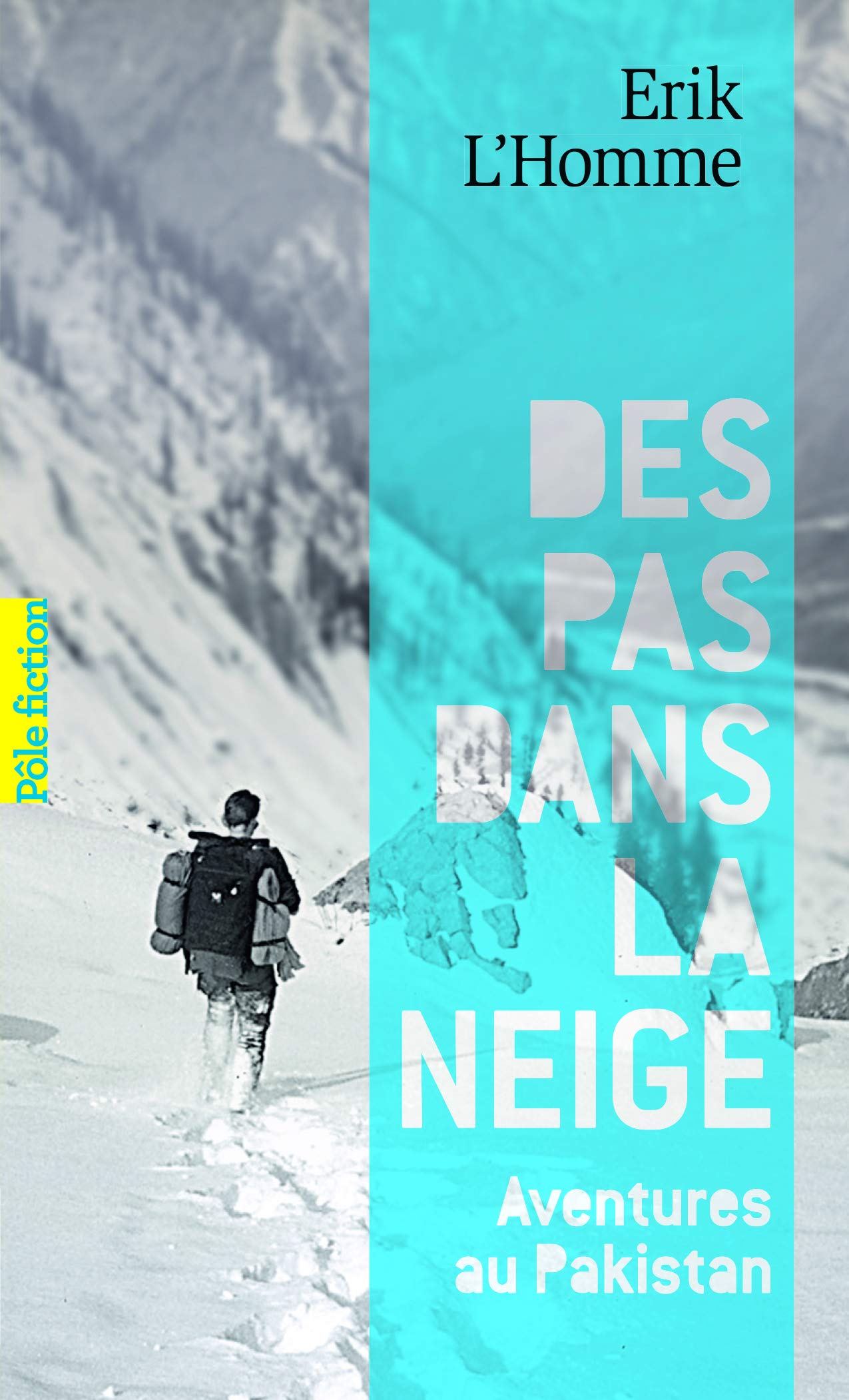 DES PAS DANS LA NEIGE book