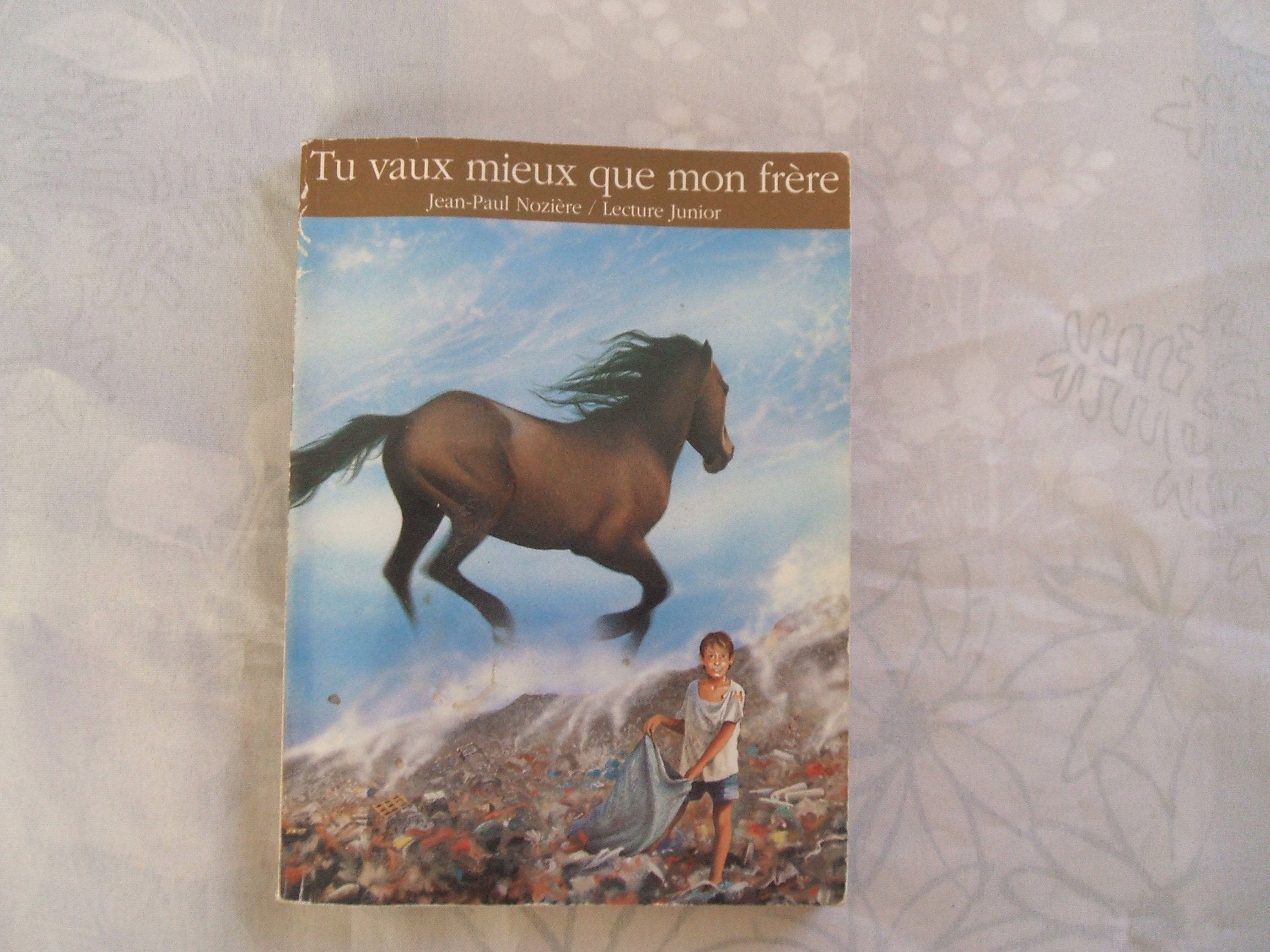 Tu vaux mieux que mon frère book