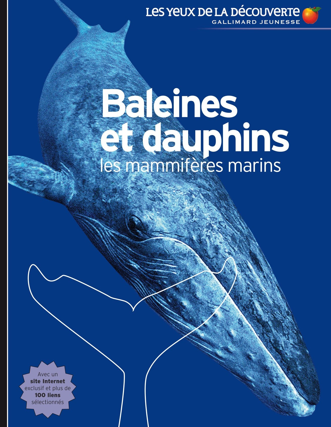 Baleines et dauphins: Les mammifères marins Children's books