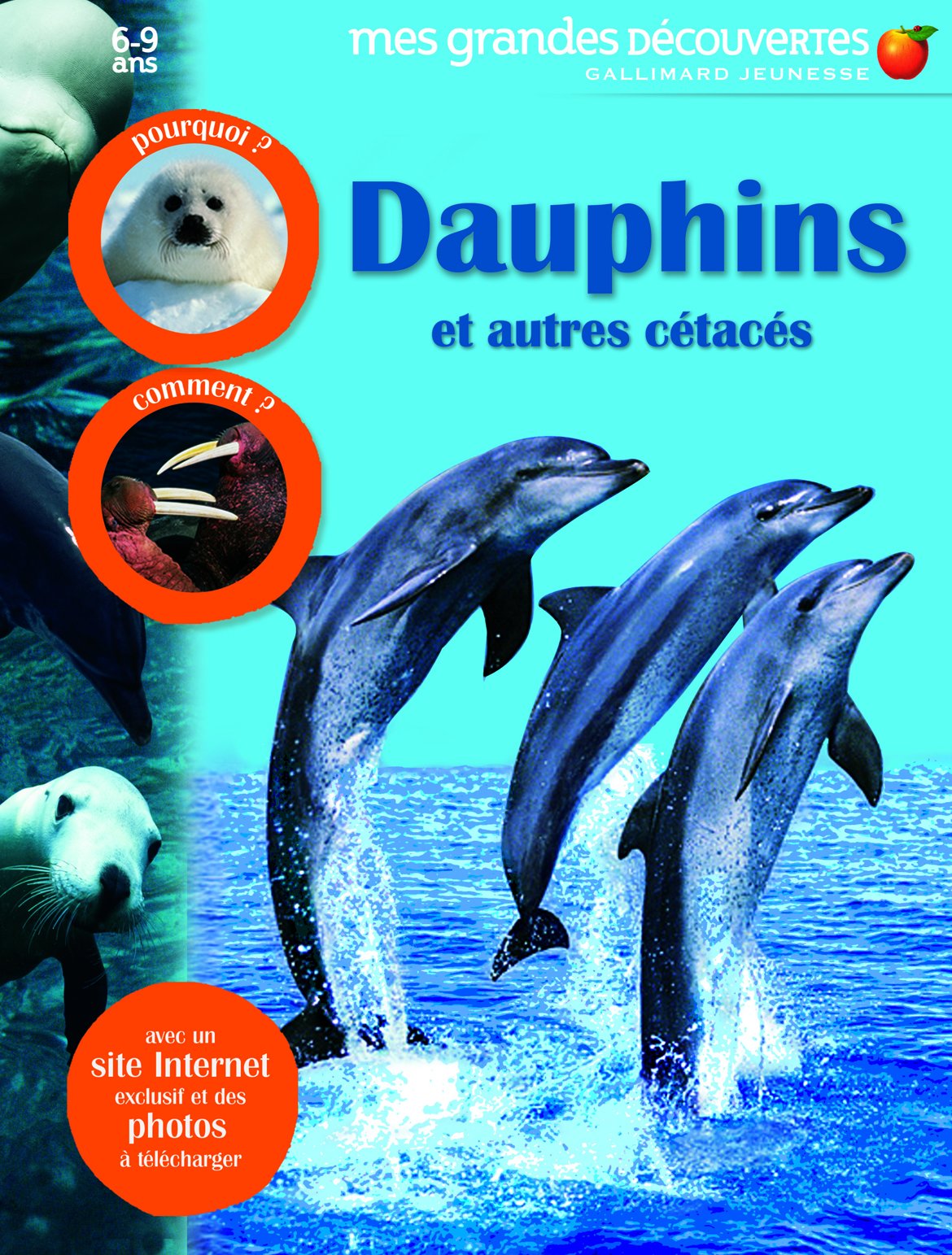 Dauphins et autres cétacés Children's books