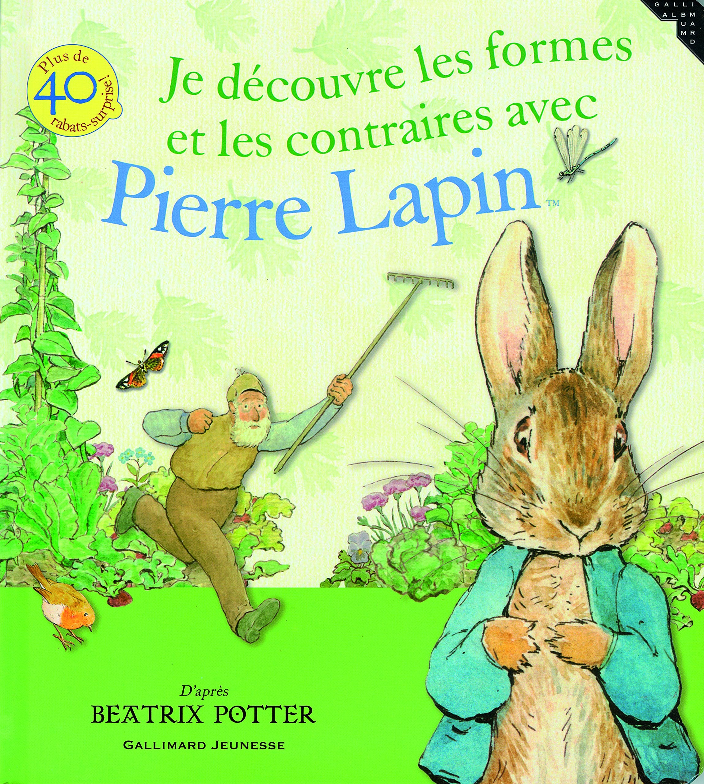 JE DECOUVRE LES FORMES ET LES CONTRAIRES AVEC PIERRE LAPIN book