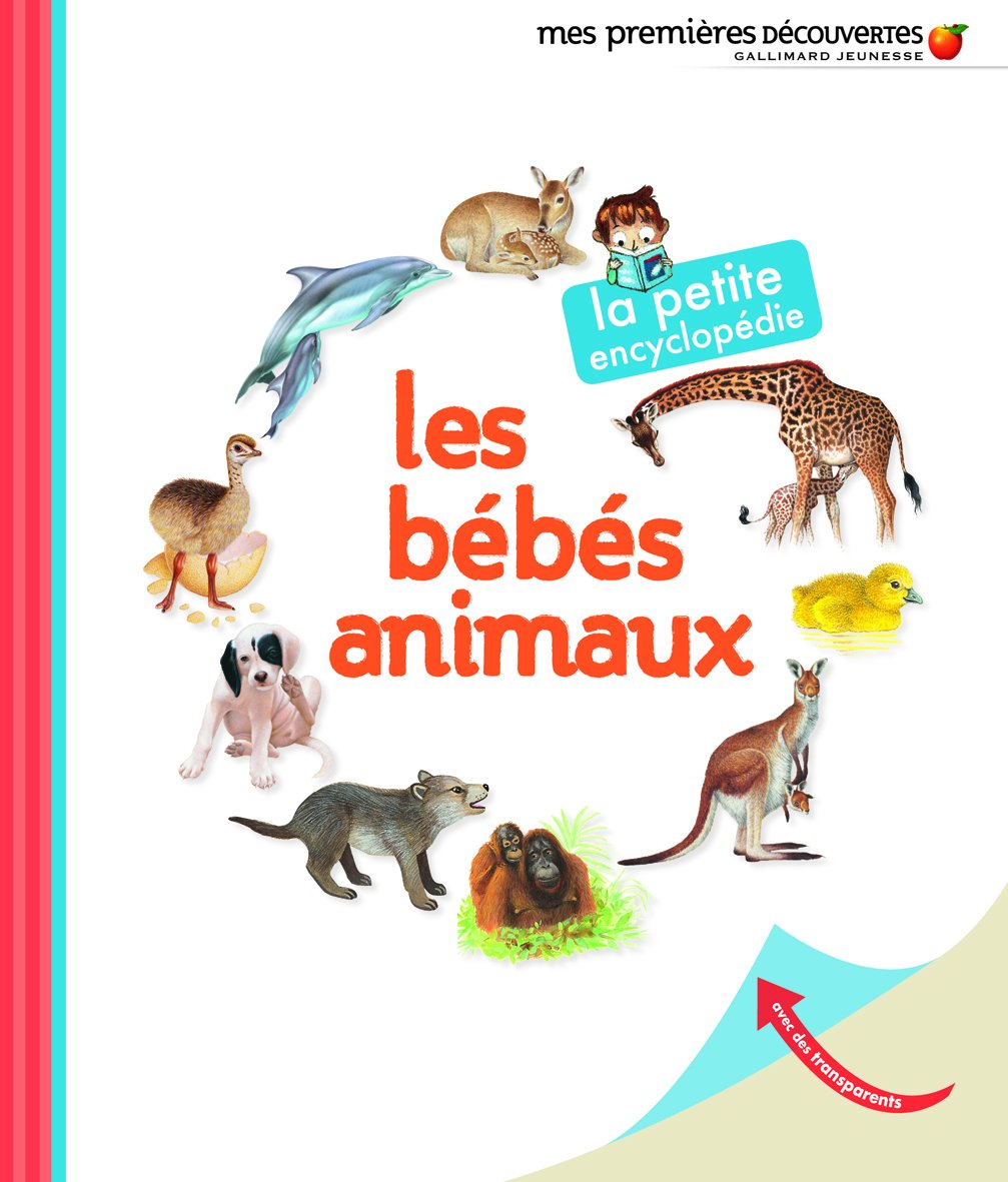 Product Image: Les bébés animaux