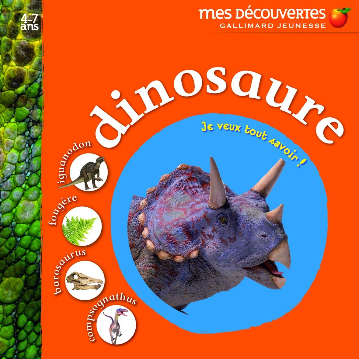 DINOSAURE: Je veux tout savoir ! Children's books