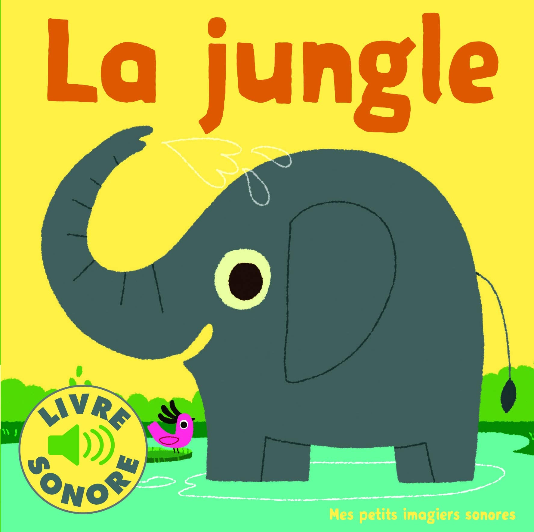 La jungle: 6 sons à écouter, 6 images à regarder Foreign Languages ​​& Dictionaries