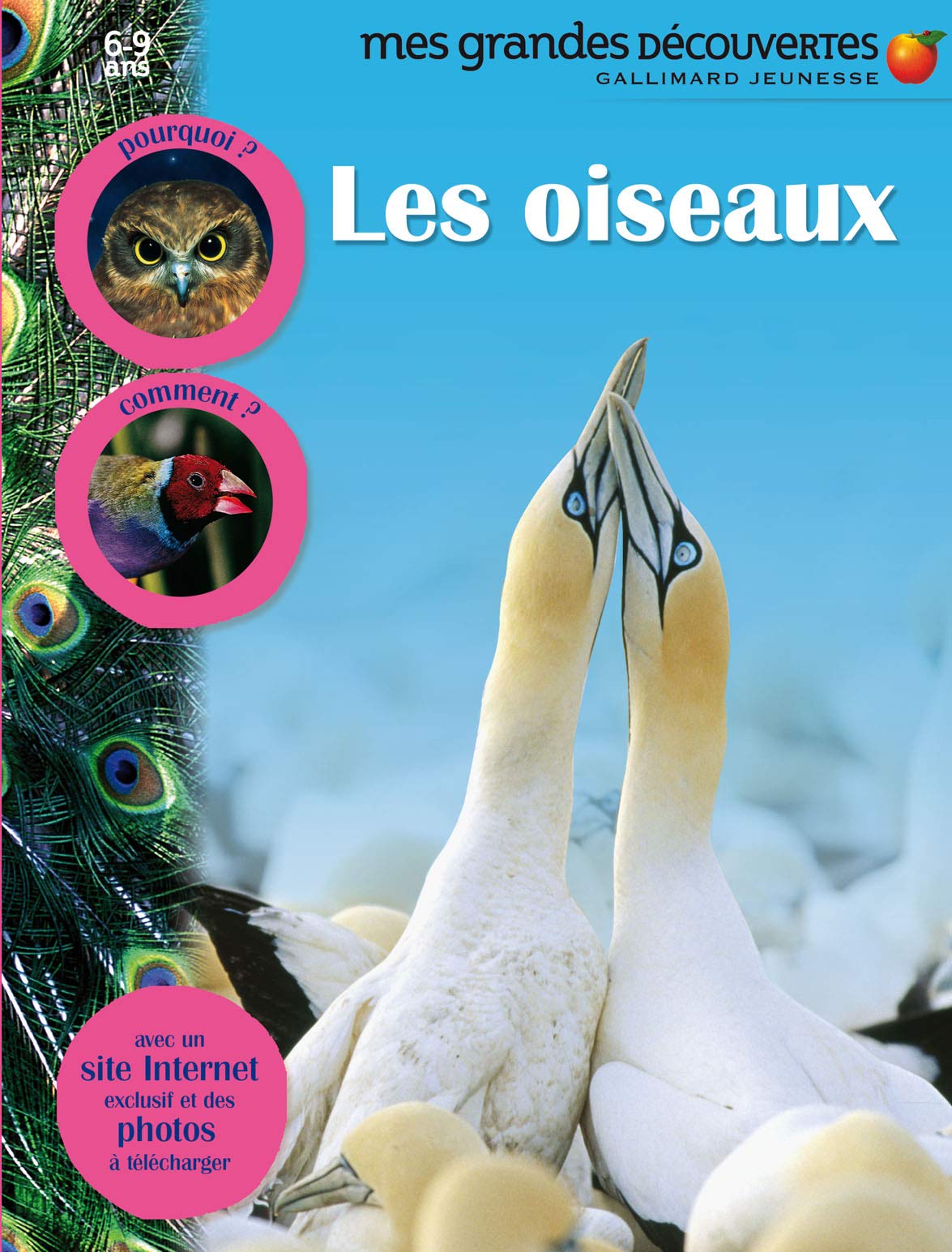 LES OISEAUX - Mes Grandes Découvertes - 6/9 ans book