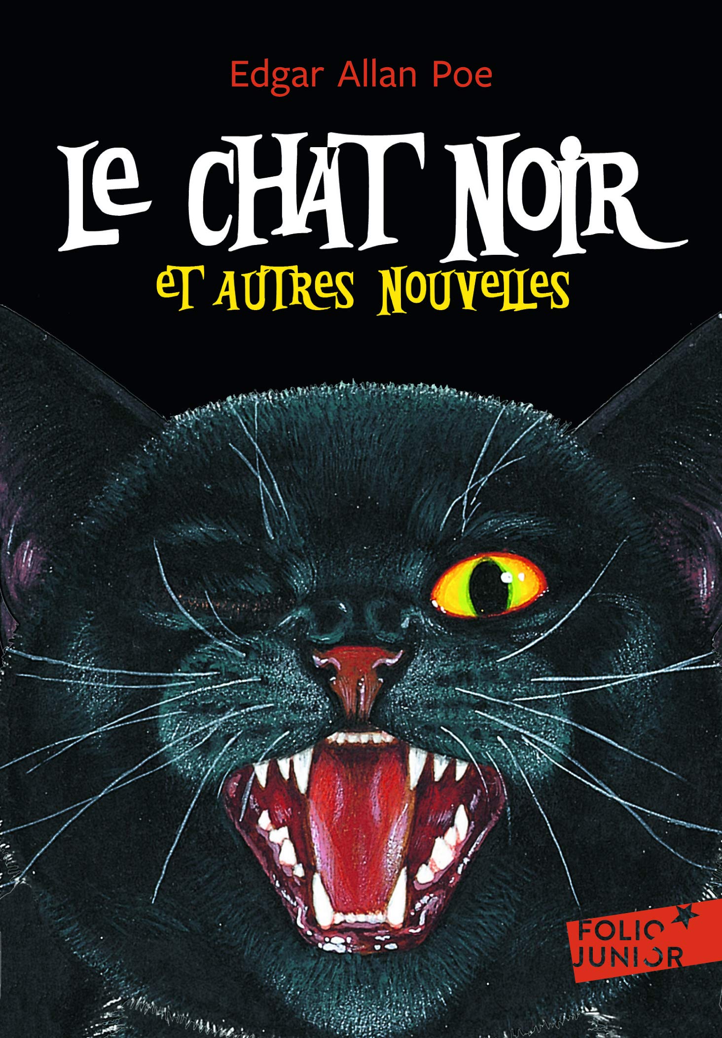 LE CHAT NOIR ET AUTRES NOUVELLES book