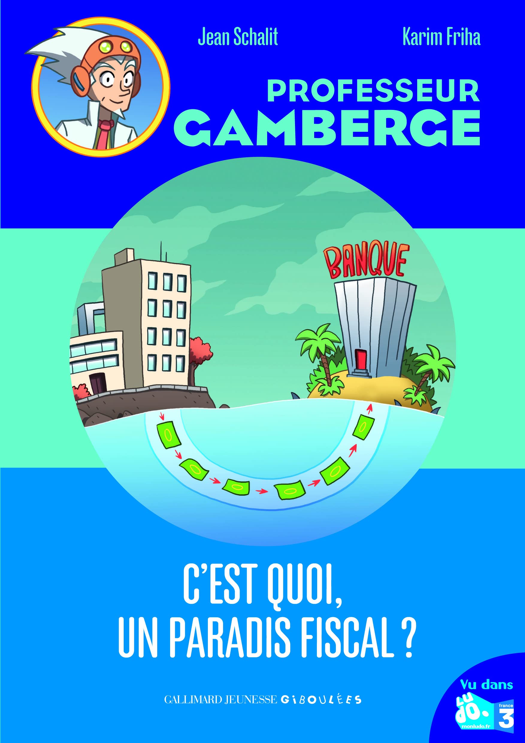 C'EST QUOI UN PARADIS FISCAL? book