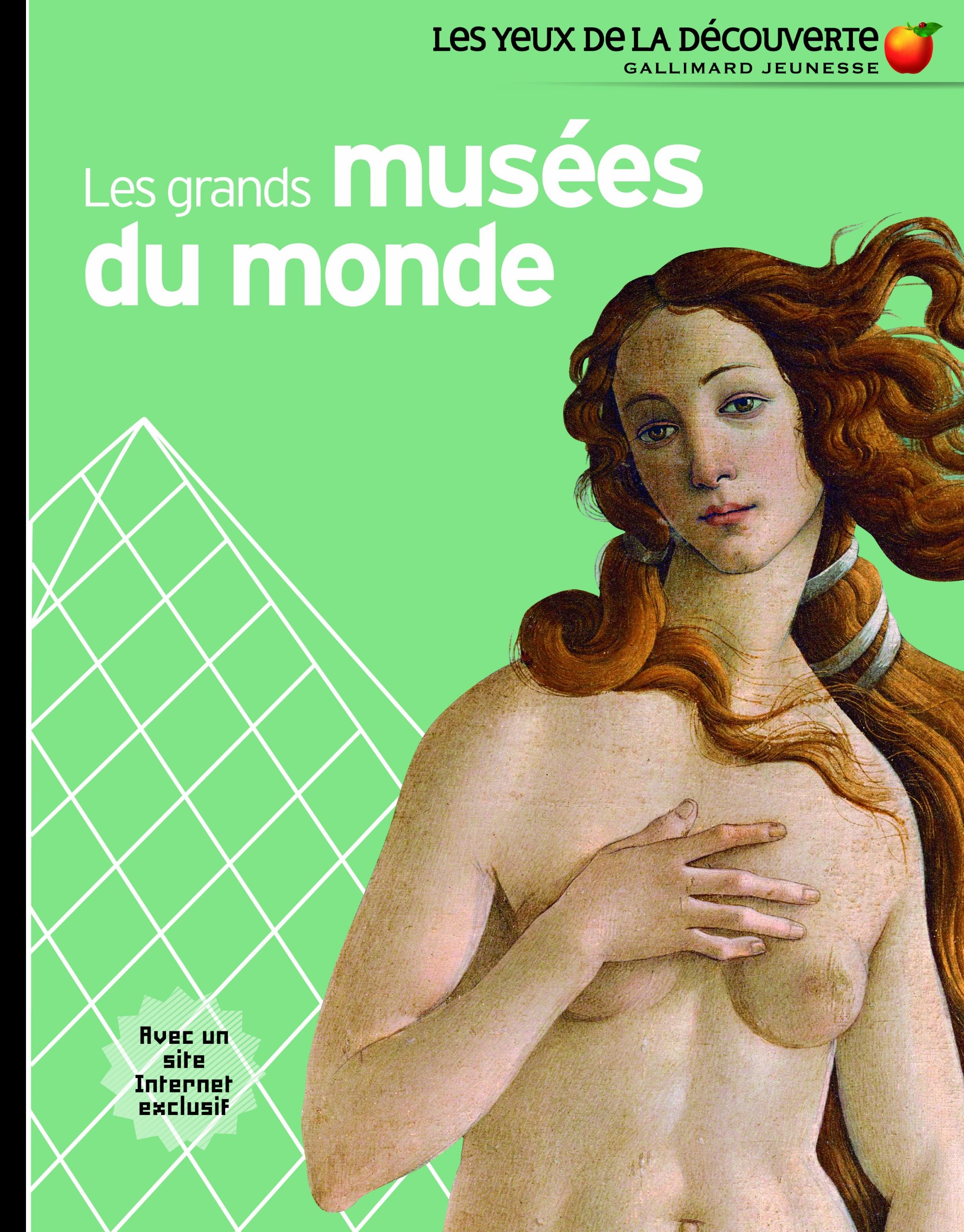 LES GRANDS MUSEES DU MONDE book