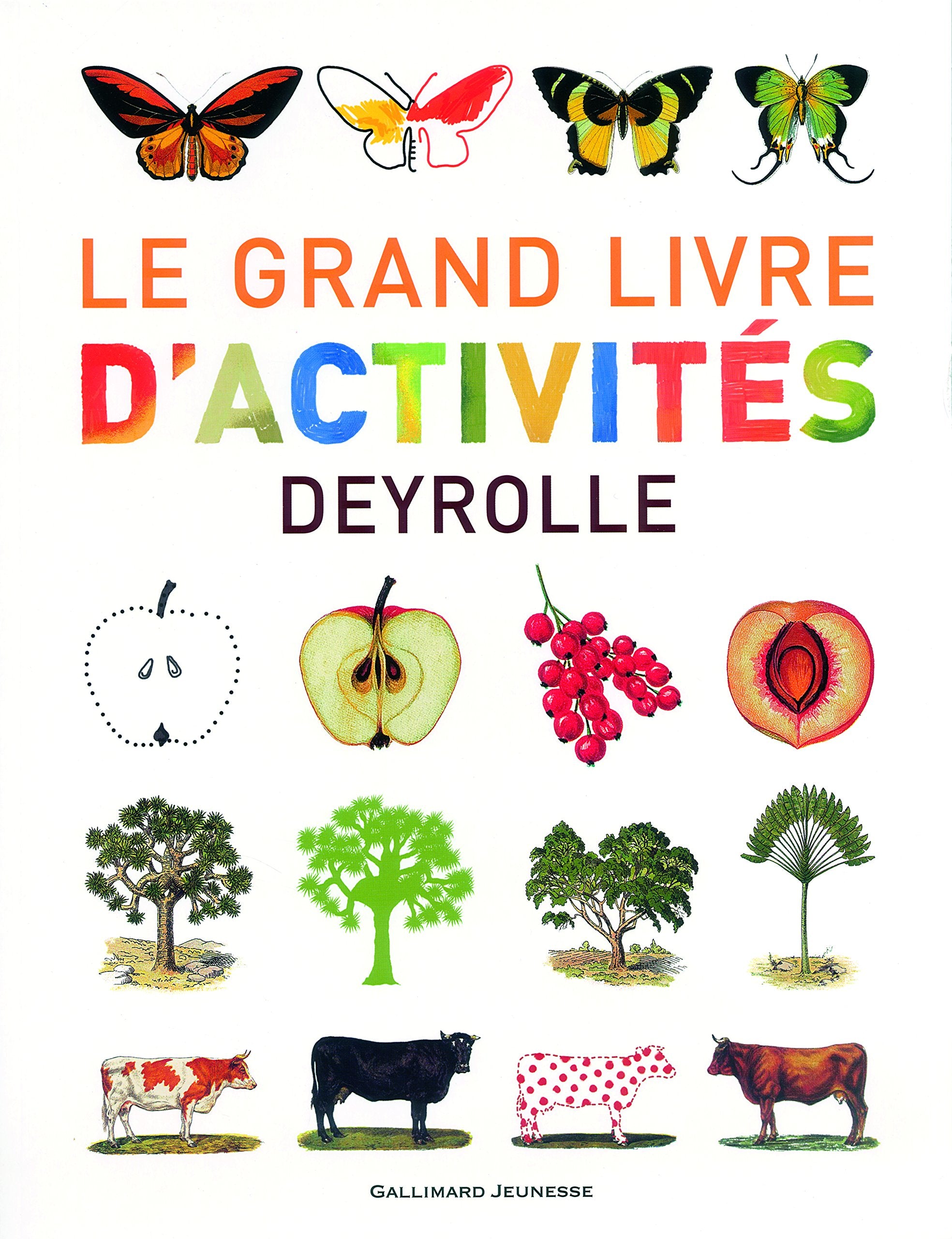 Le grand livre d'activités Deyrolle n° 1 Children's books