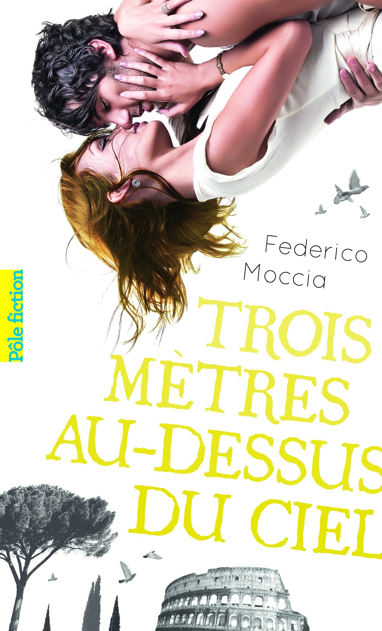 Trois Metres Au-Dessus Du Ciel Contemporary literature
