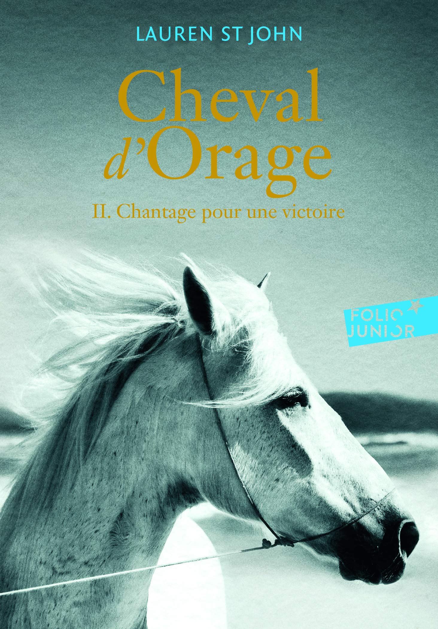 Cheval d'Orage: Chantage pour une victoire (2) Novels & Short Stories