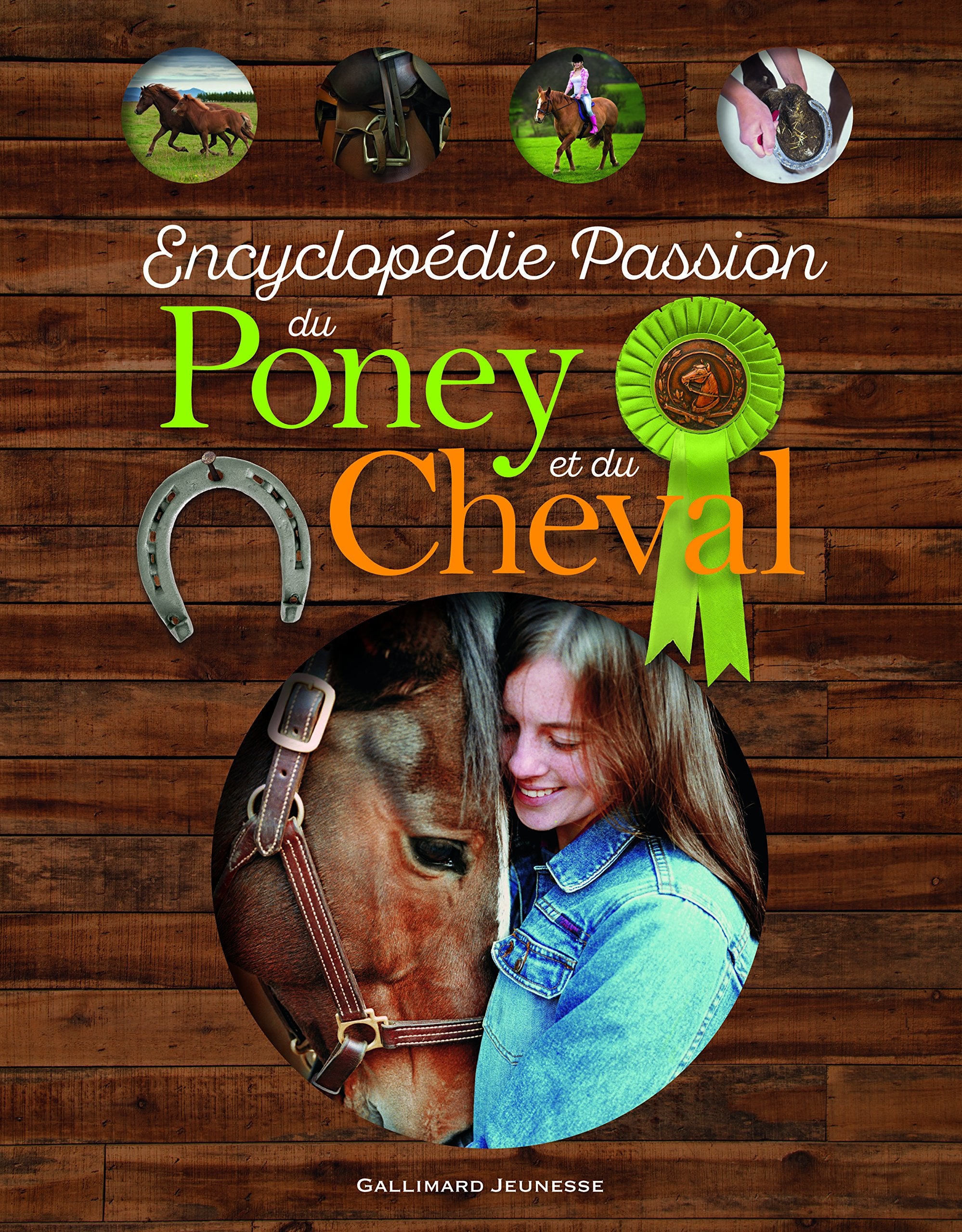Encyclopédie Passion du Poney et du Cheval Children's books