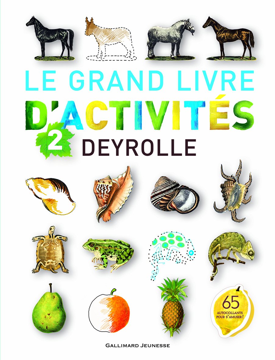 Le grand livre d'activités Deyrolle n°2 Tiptoi & Games