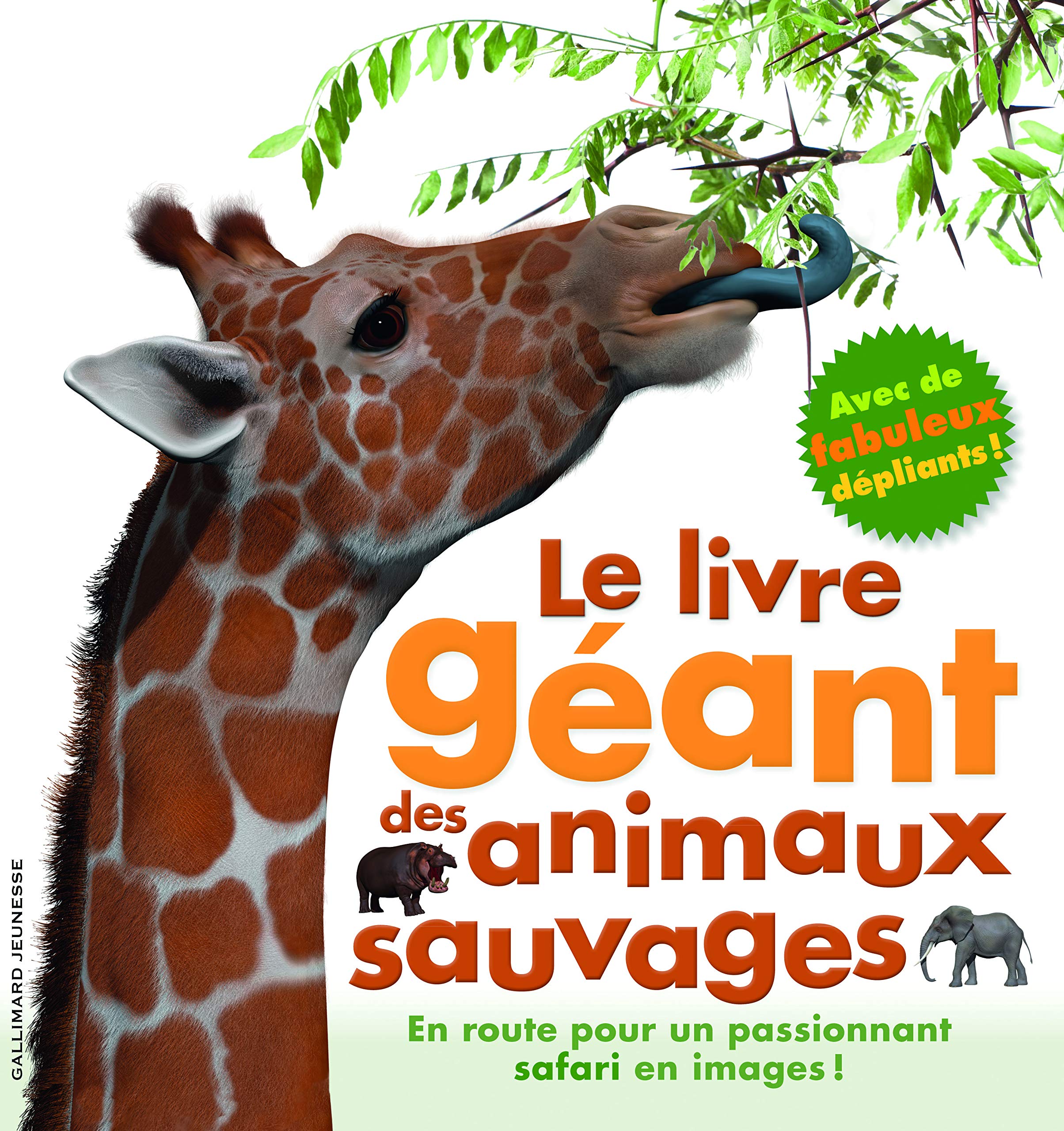 Le livre géant des animaux sauvages Children's books