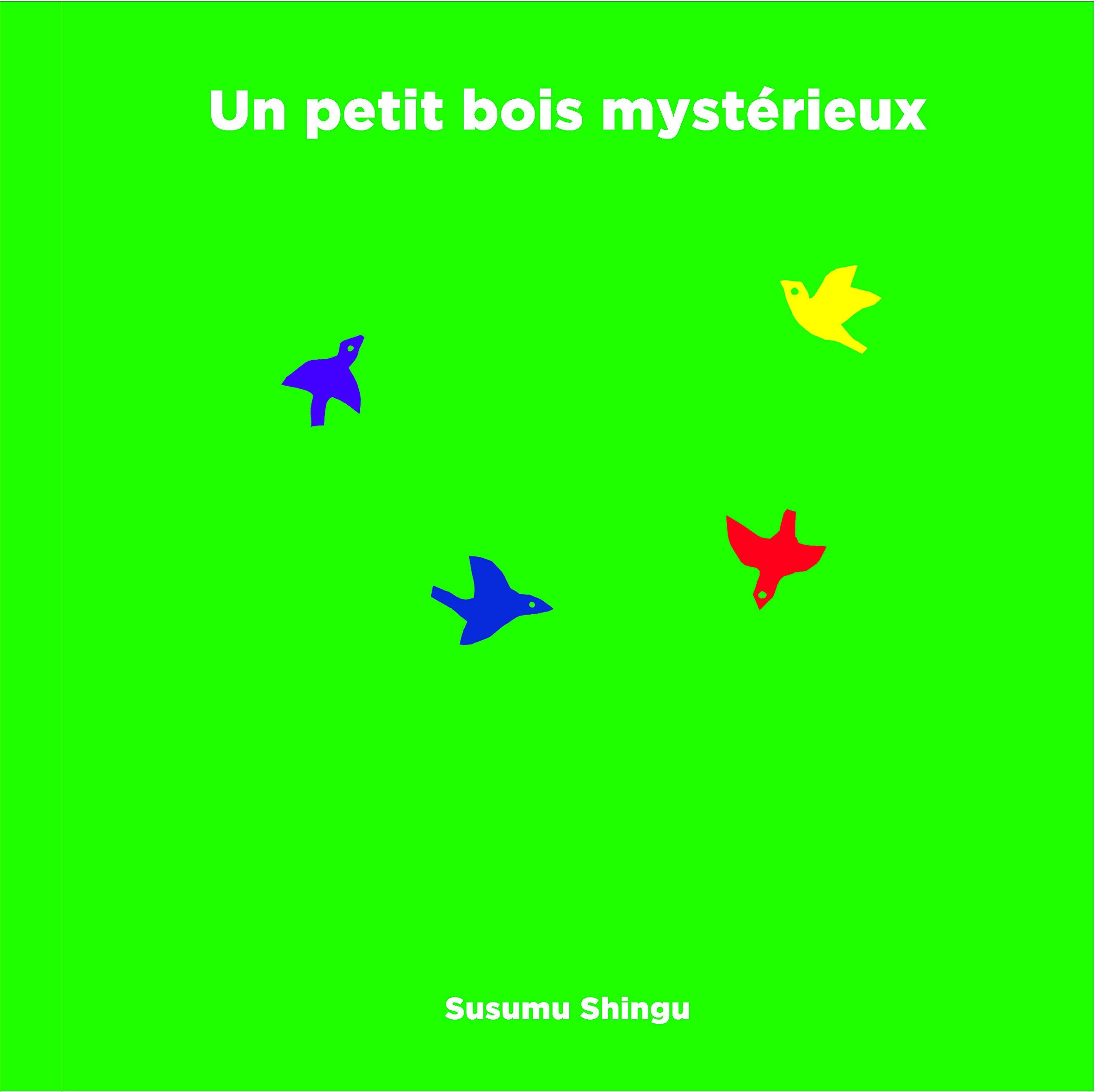 UN PETIT BOIS MYSTERIEUX - POP-UP - A partir de 6 ans book