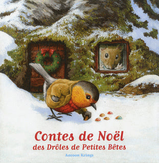 Contes de Noël des drôles de petites bêtes book