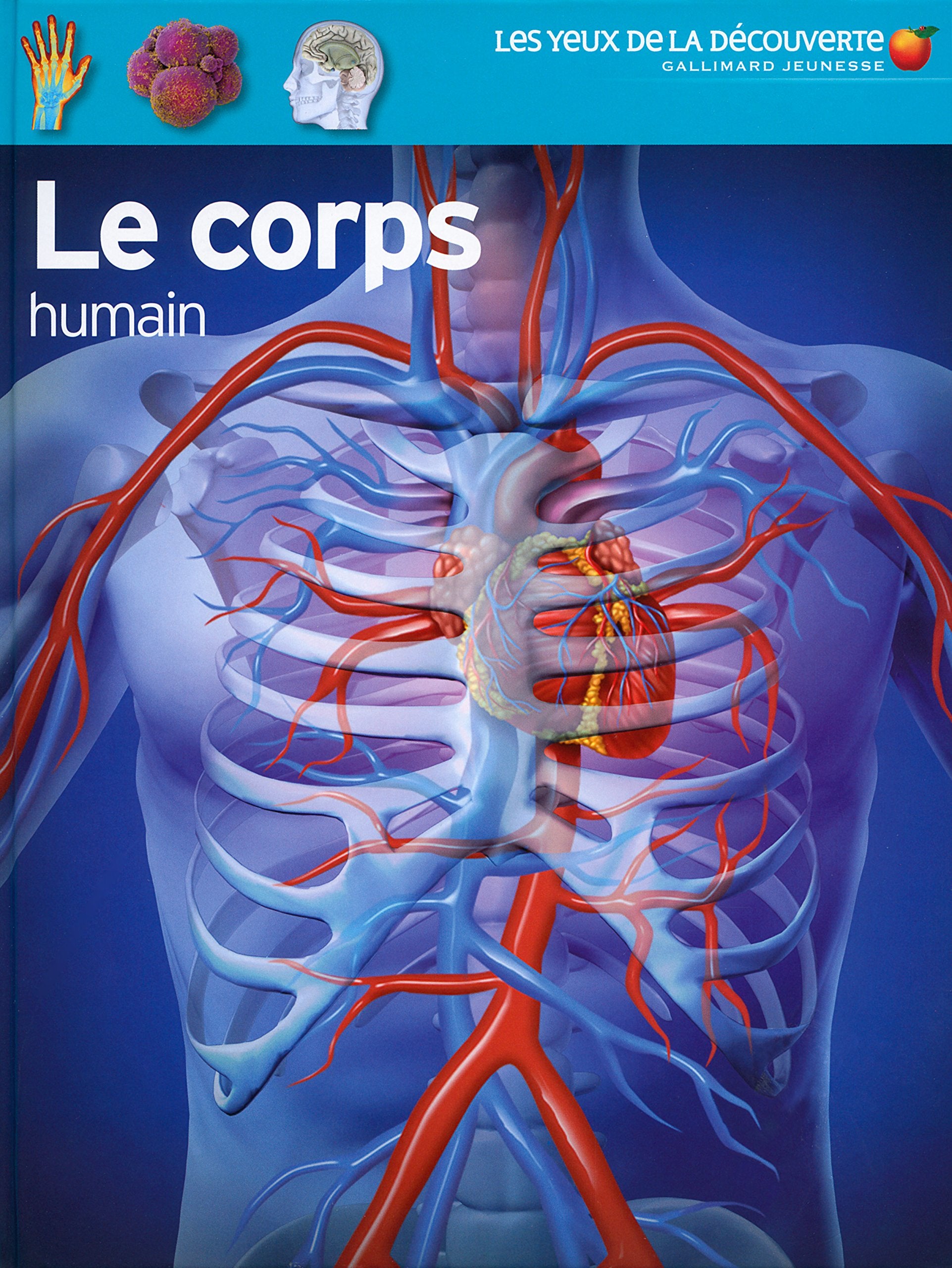 Les yeux de la decouverte: Le corps humain Business & Technology