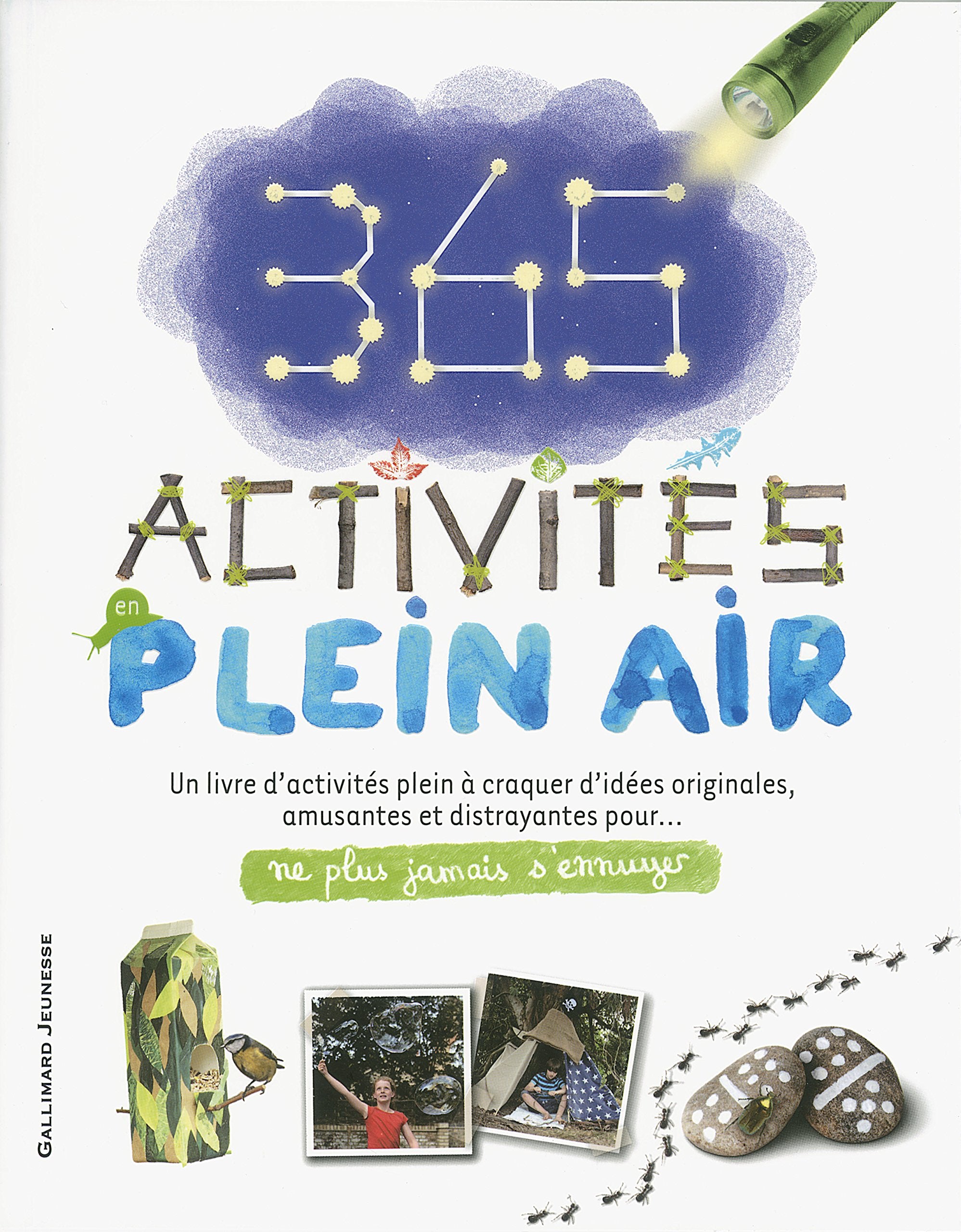 365 ACTIVITES EN PLEIN AIR book