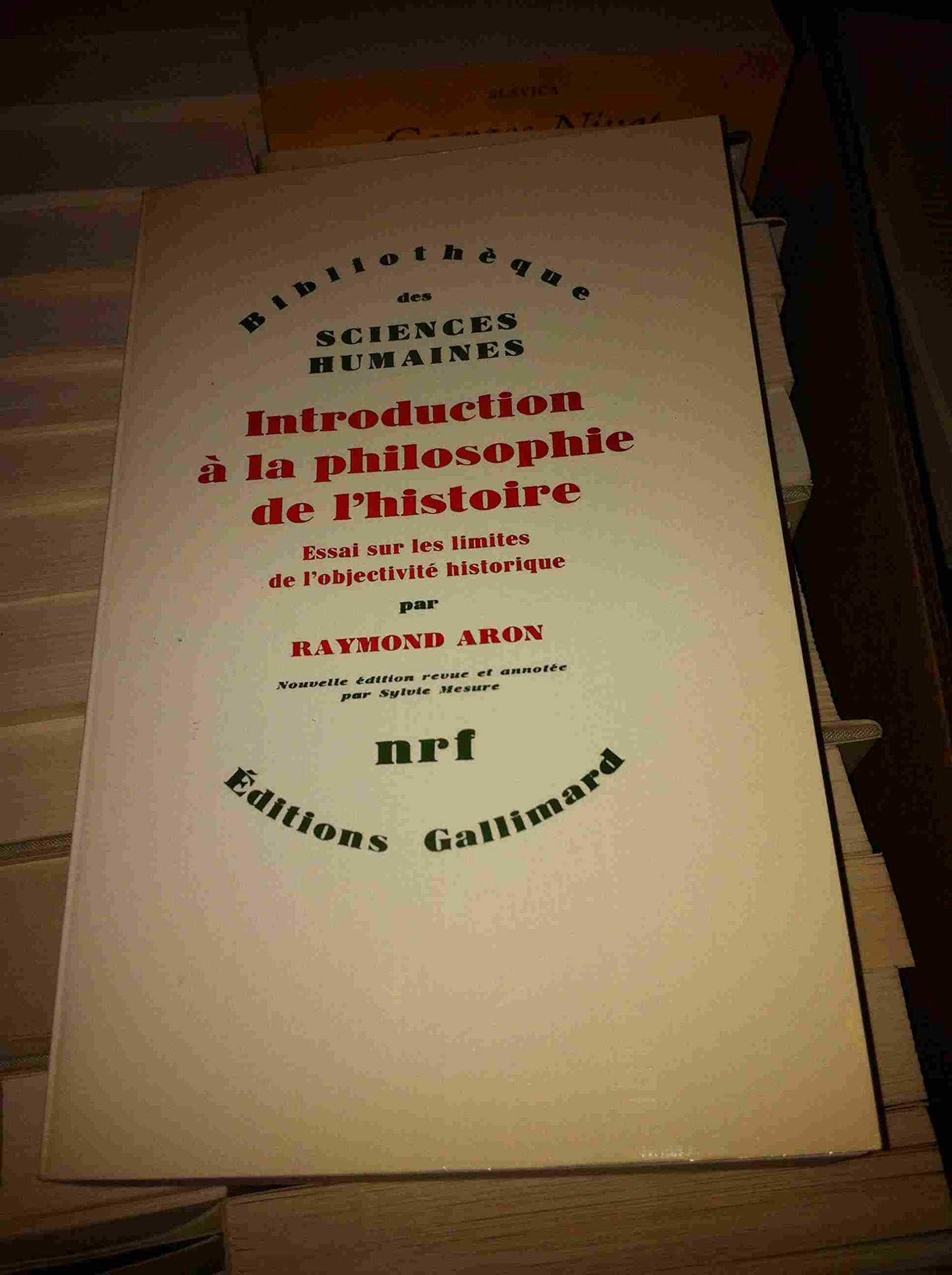 Introduction à la philosophie de l'histoire: Essai sur les limites de l'objectivité historique Non-fiction books