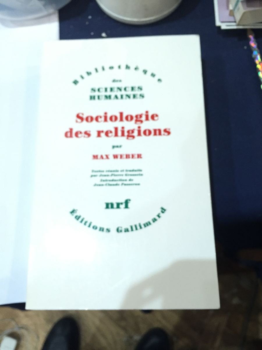 Sociologie des religions Books