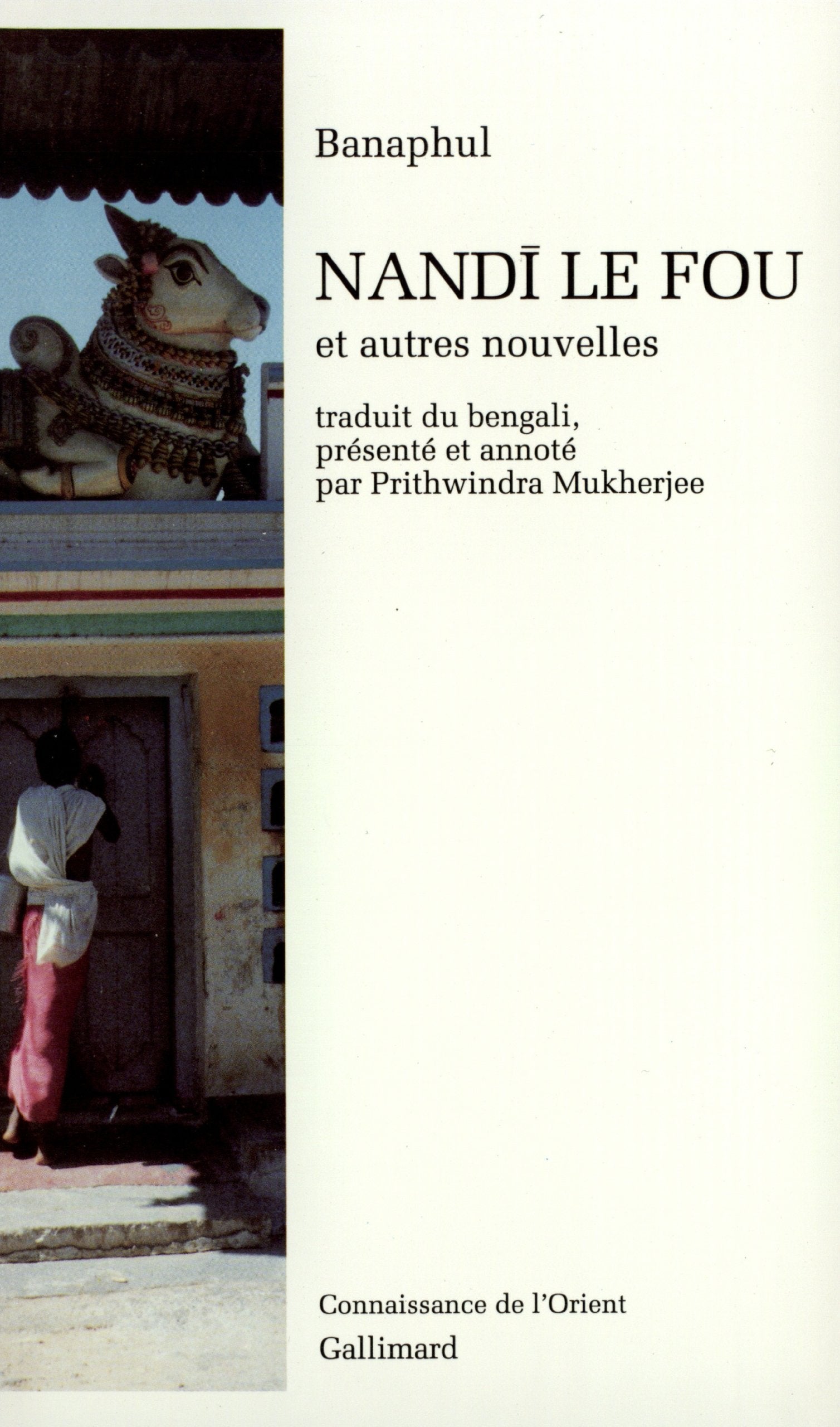 Nandī le Fou et autres nouvelles Contemporary literature