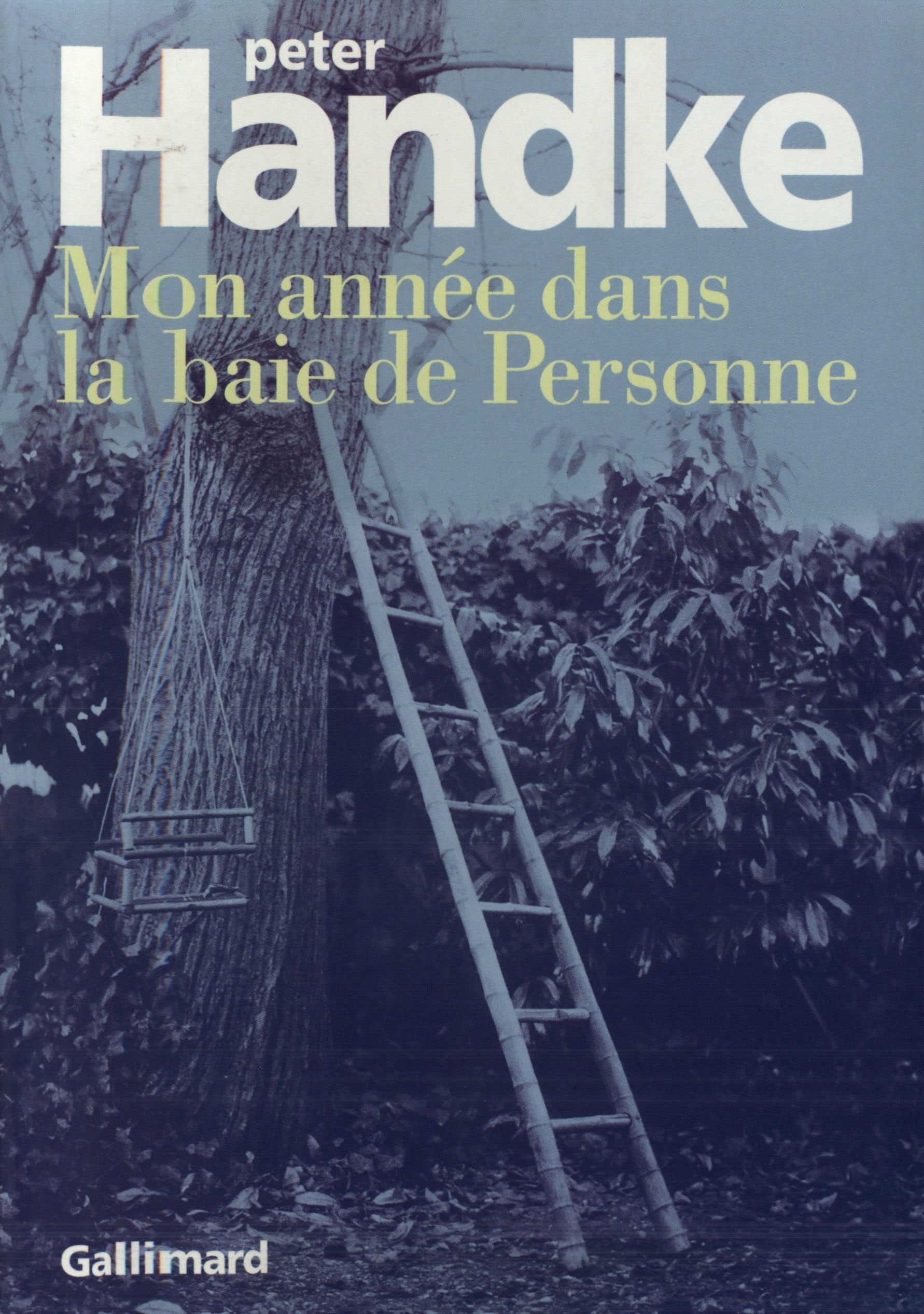 Mon année dans la baie de Personne: Un conte des temps nouveaux Contemporary literature