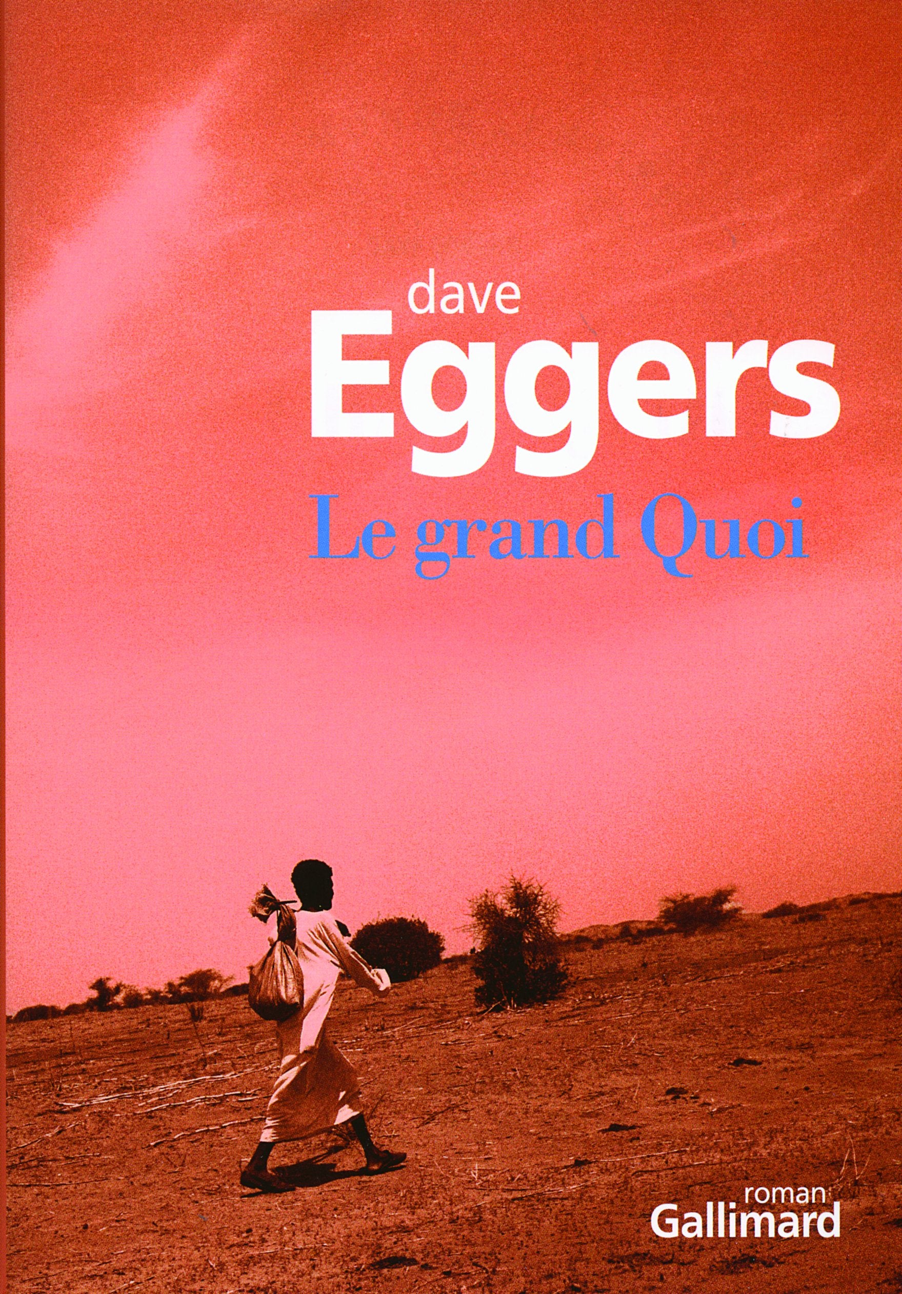 Le grand Quoi: Autobiographie de Valentino Achak Deng Contemporary literature