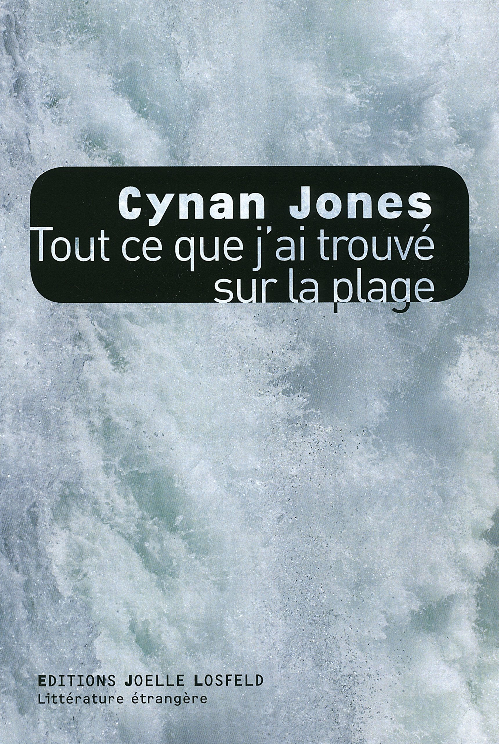 Tout ce que j'ai trouvé sur la plage book