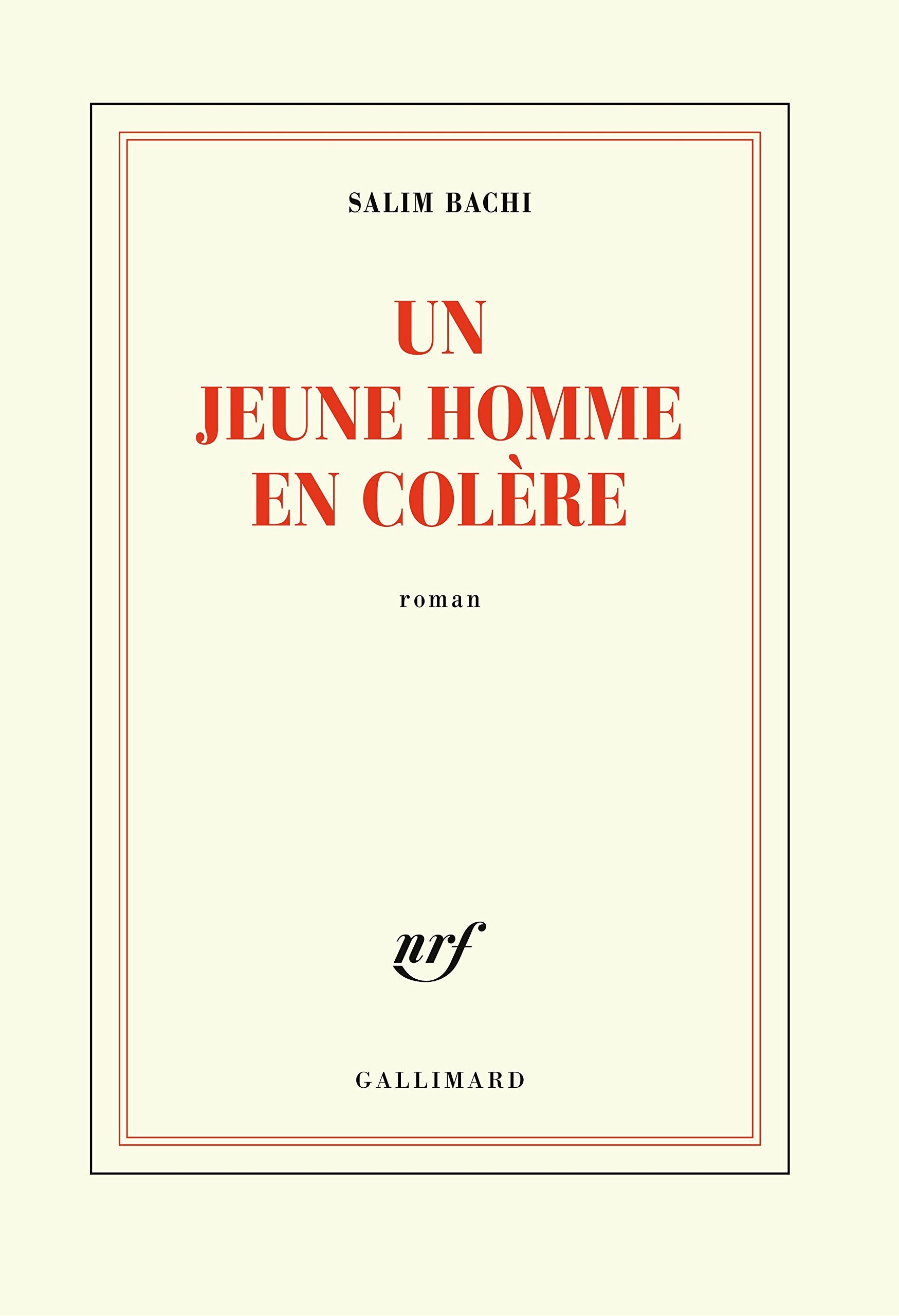 Un jeune homme en colere Contemporary literature