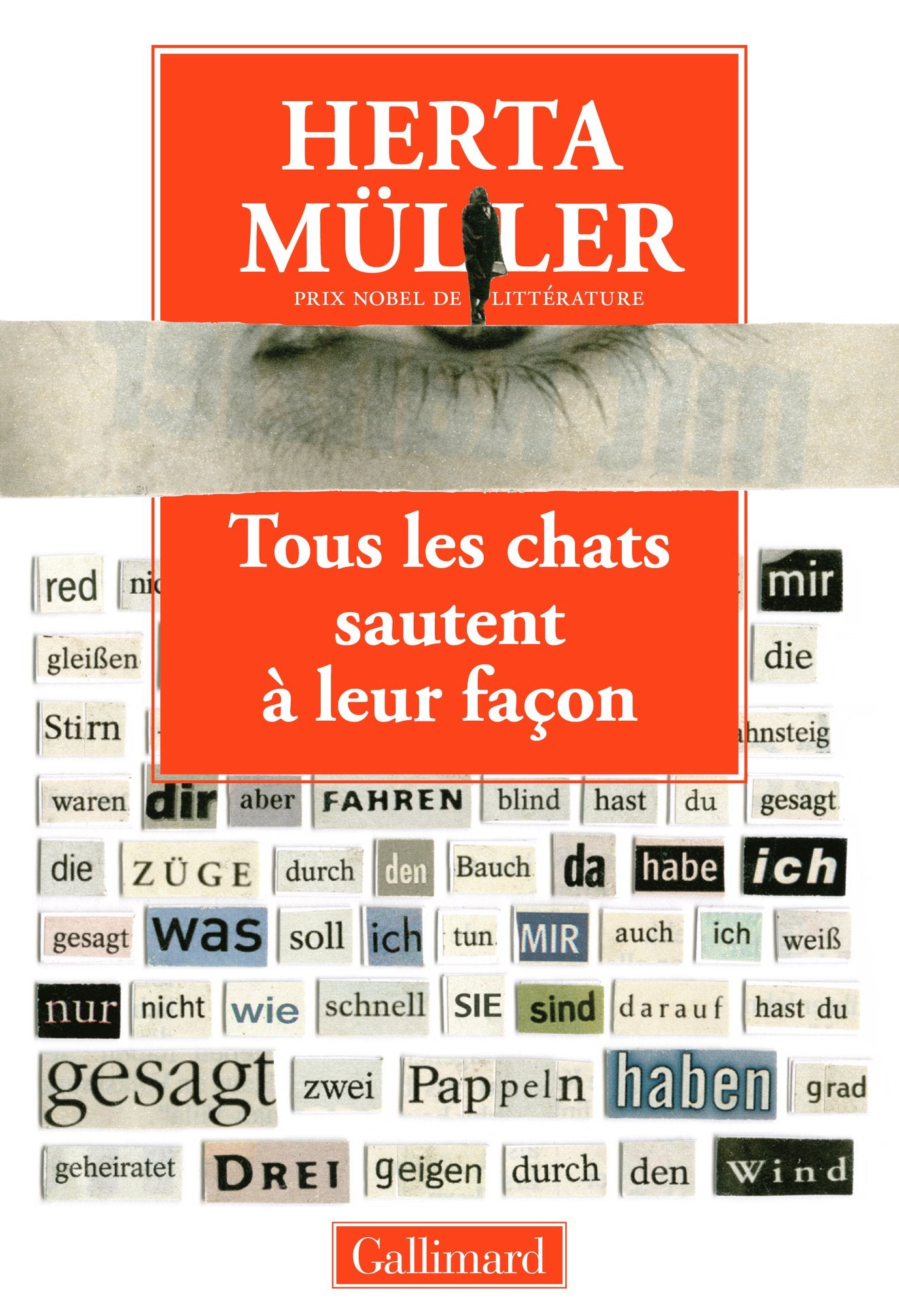 Tous les chats sautent à leur façon: Entretien avec Angelika Klammer book