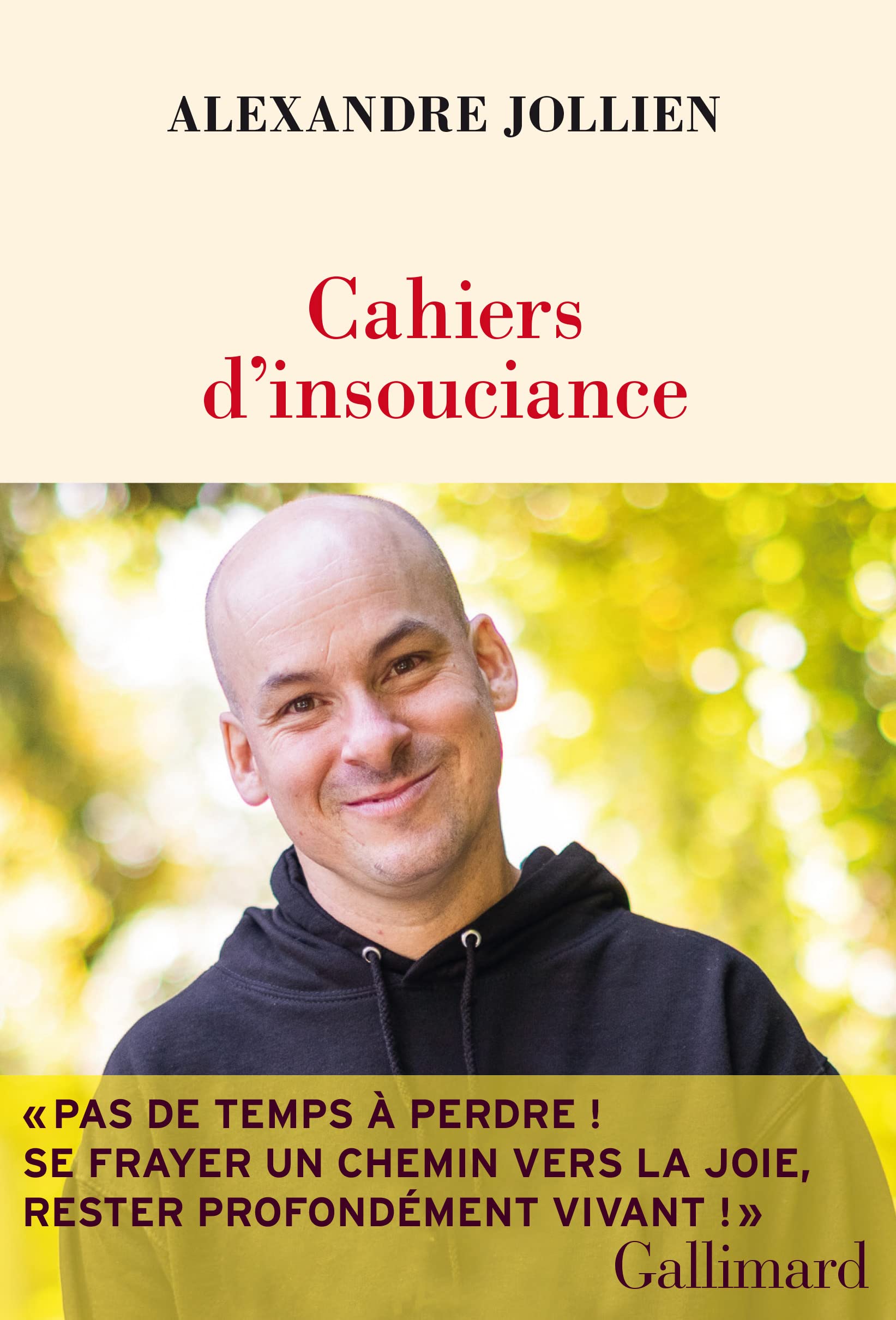 Cahiers d'insouciance book