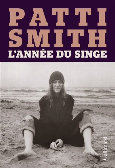 Product Image: L'année du singe : récit