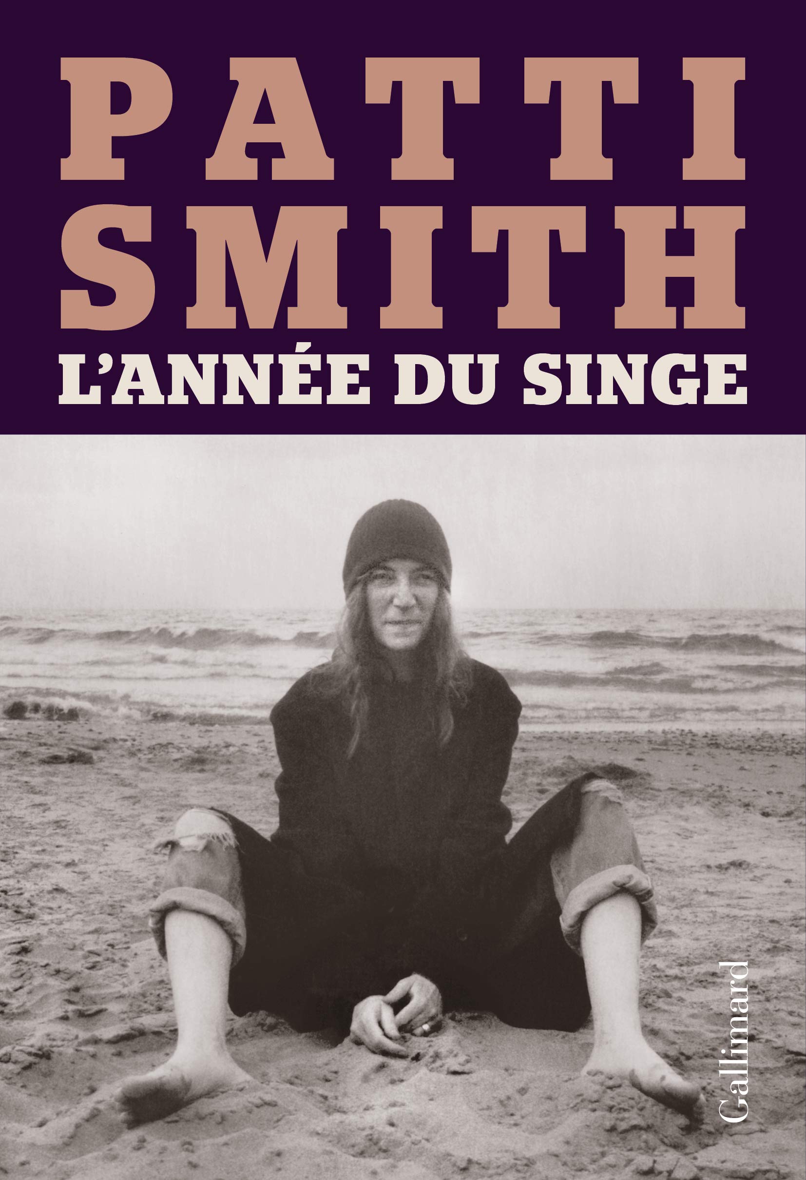 L'année du singe Contemporary literature