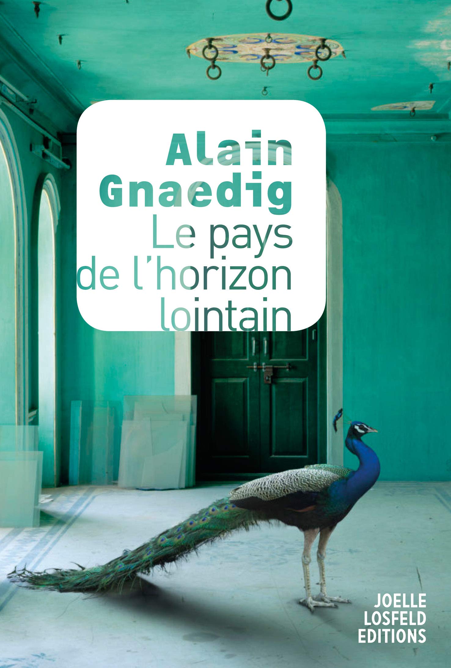 Le pays de l'horizon lointain Contemporary literature