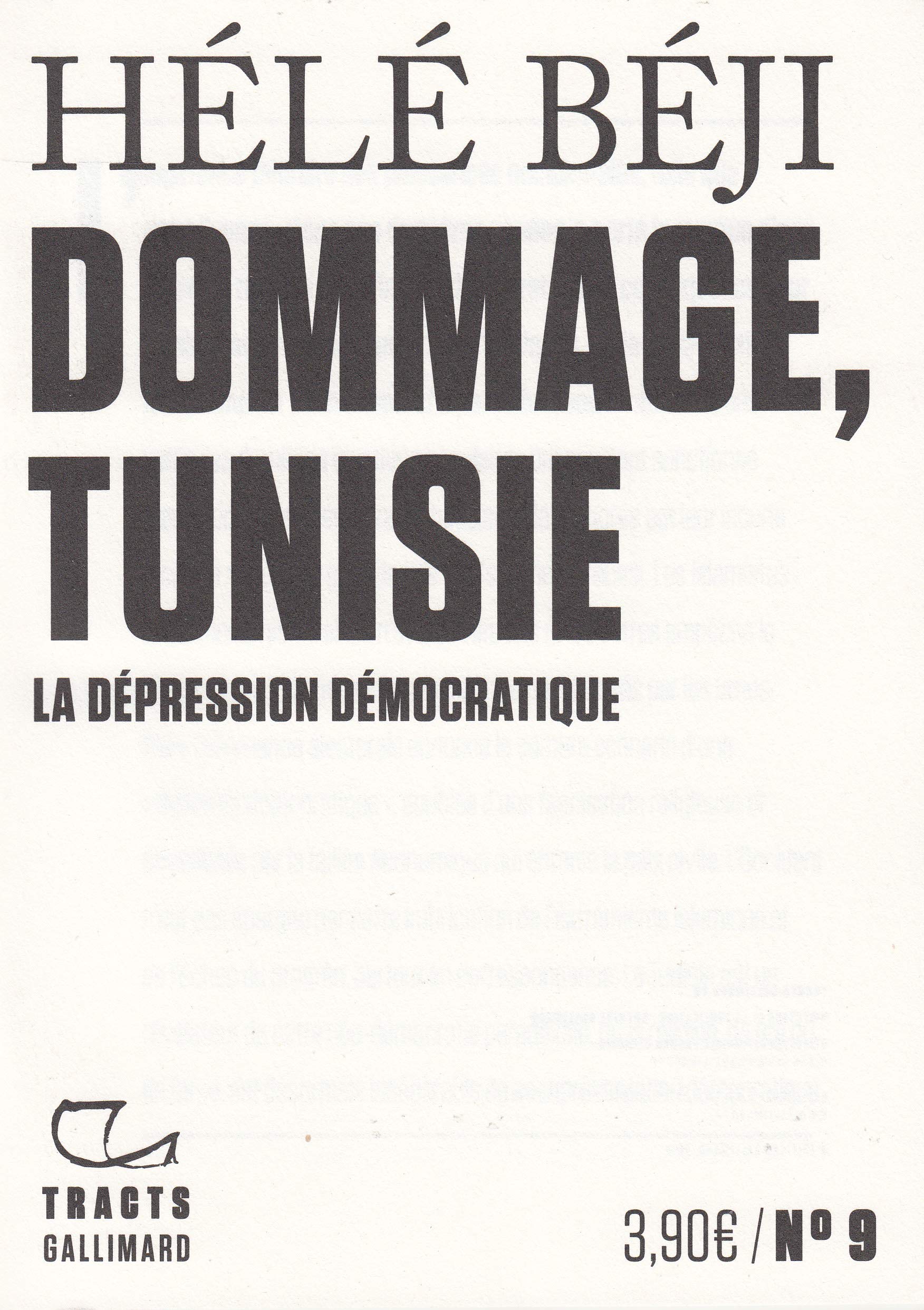 Dommage, Tunisie: La dépression démocratique Essays & Short Stories