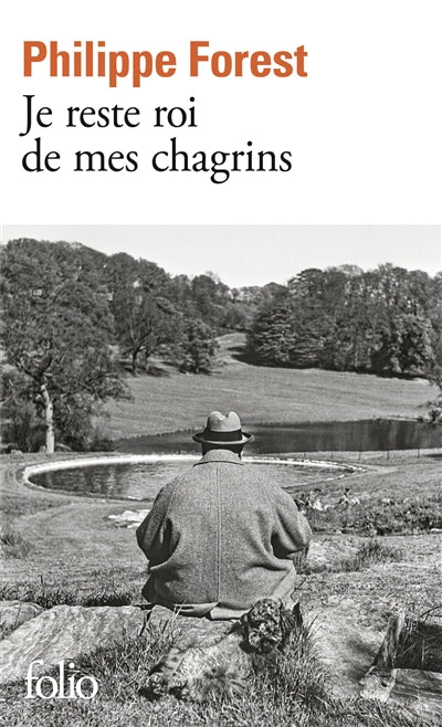 Product Image: Je reste roi de mes chagrins