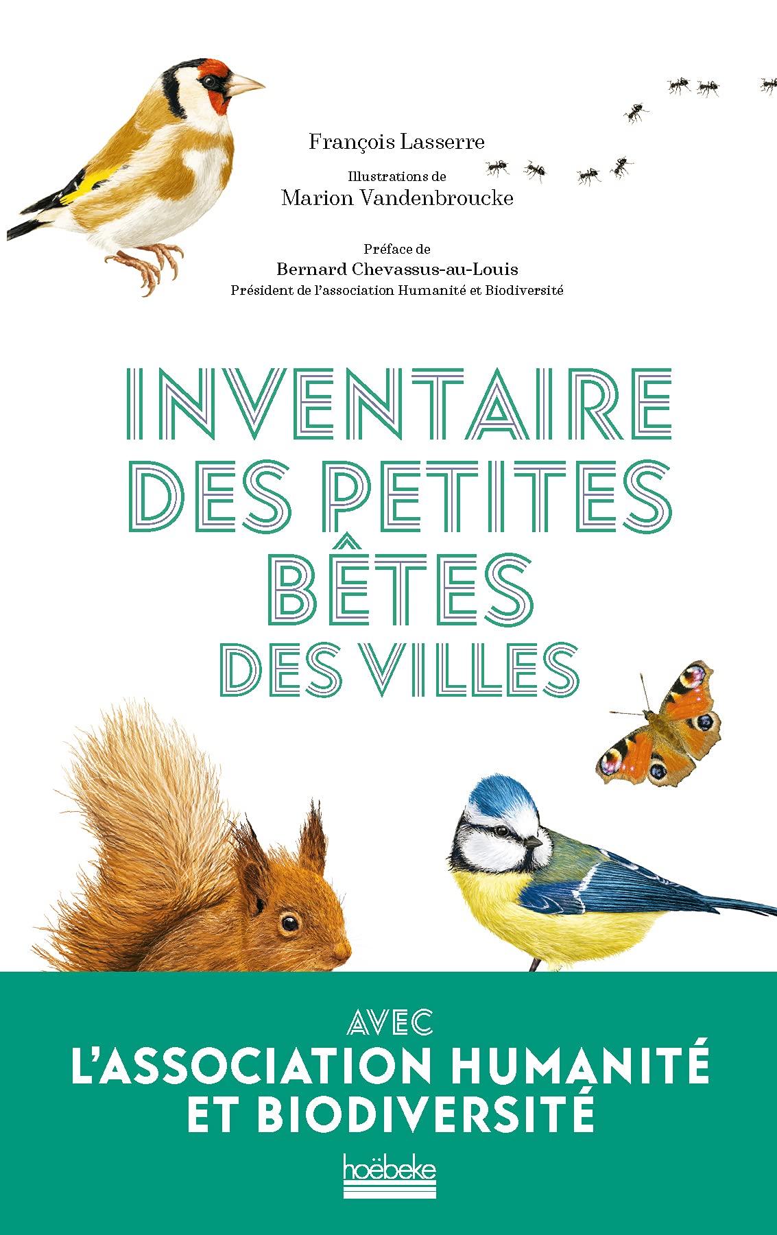 Inventaire des petites bêtes des villes book