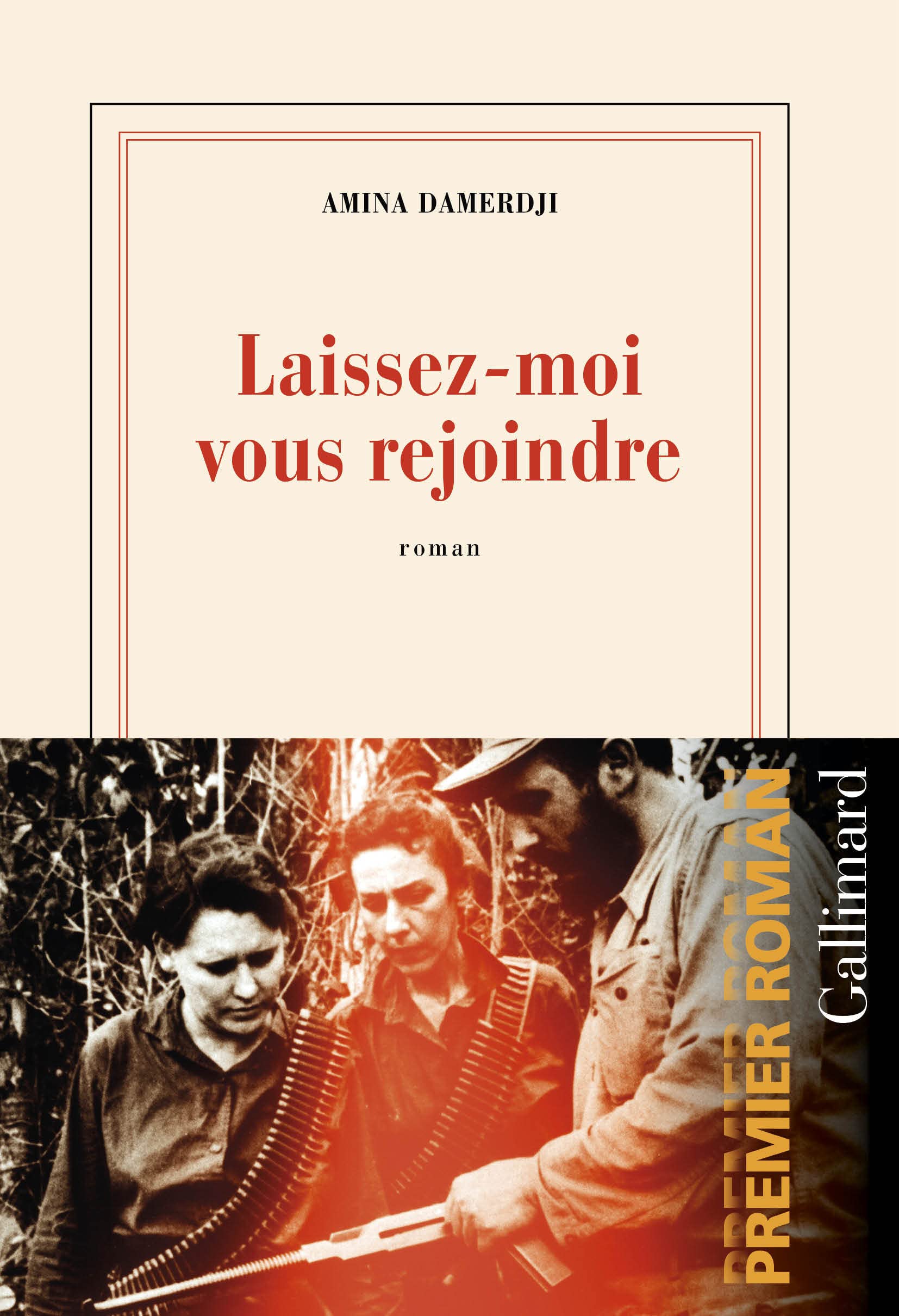 Laissez-moi vous rejoindre: Roman Contemporary literature