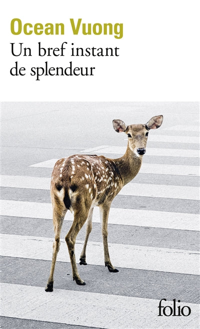 Product Image: Un bref instant de splendeur