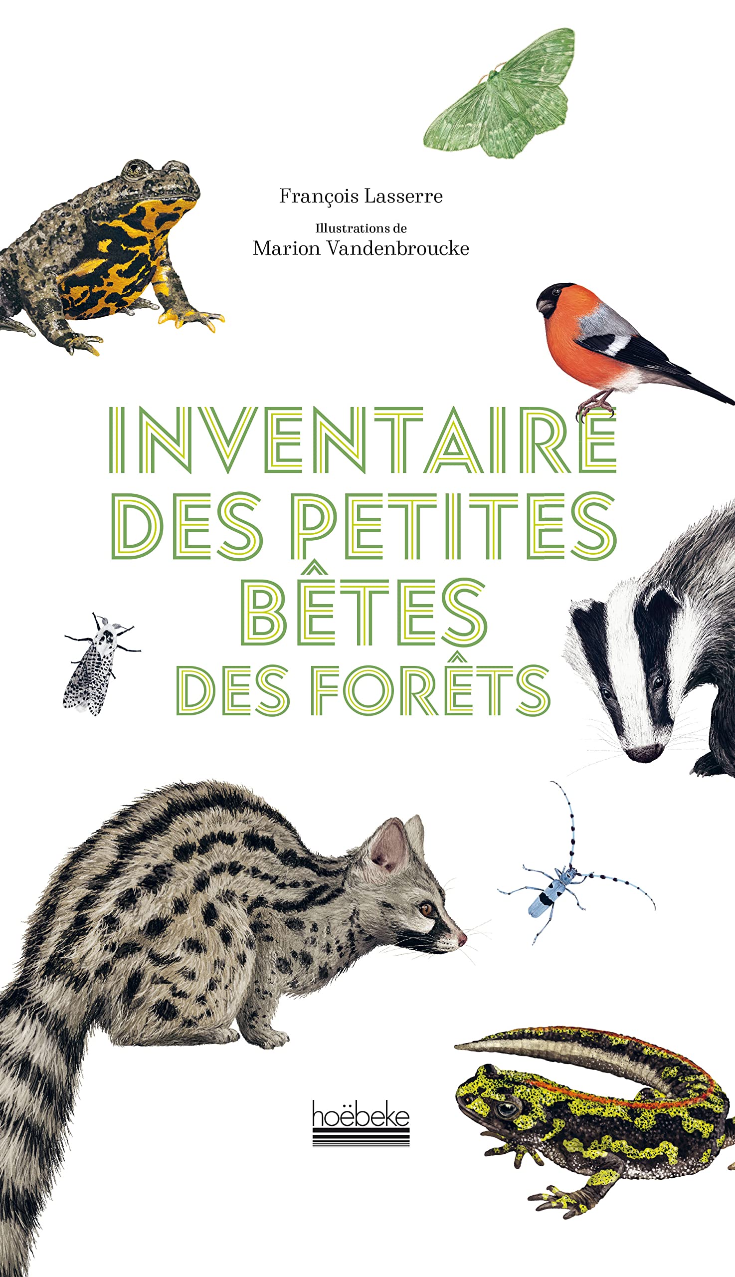 Inventaire des petites bêtes des forêts book