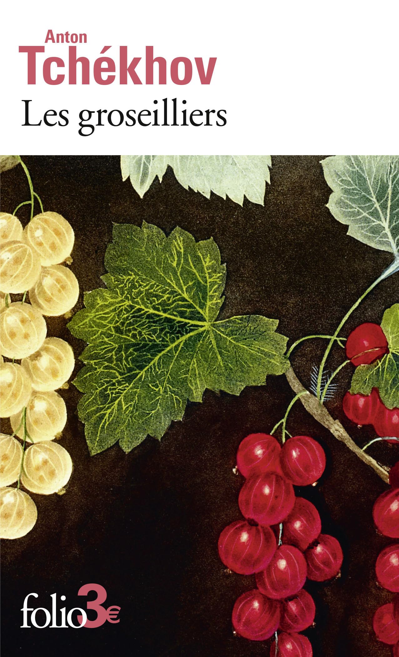 Les groseilliers et autres nouvelles Essays & Short Stories