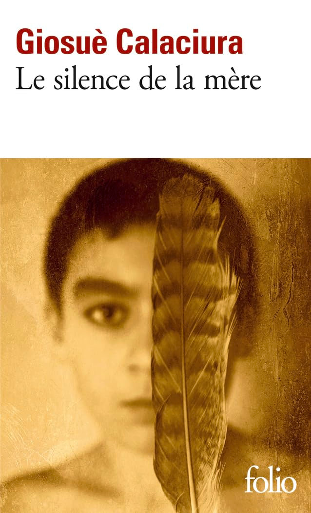 Product Image: Le silence de la mère